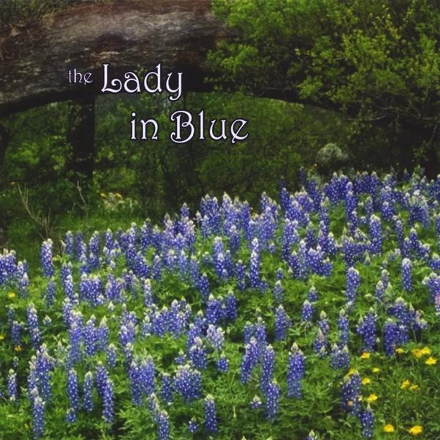 Cynthia Jordan LADY IN BLUE CD