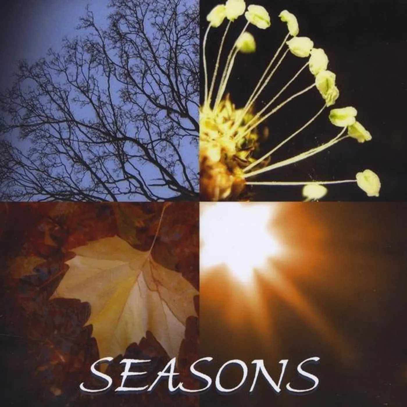 Manfred SEASONS CD