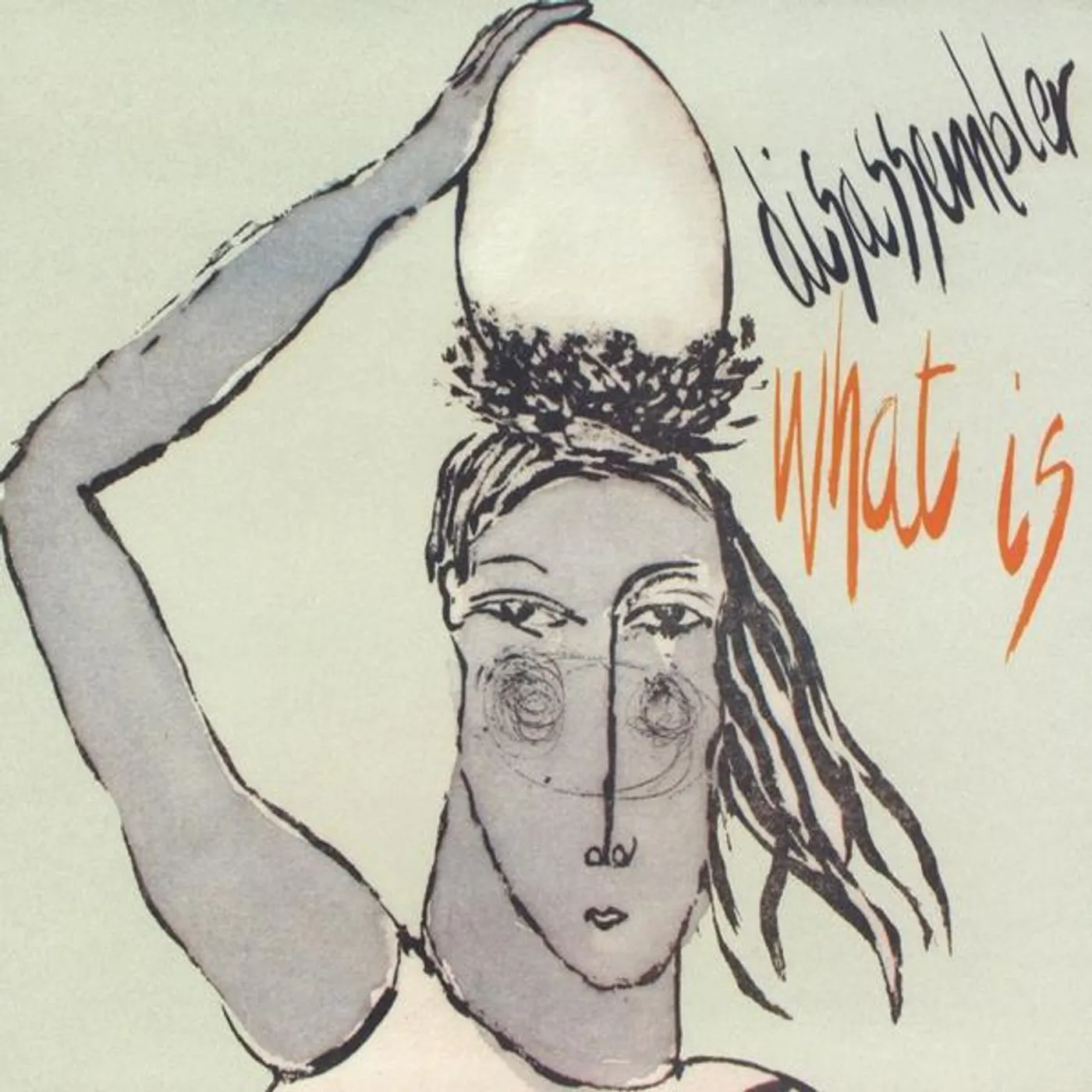 Disassembler WHAT IS CD