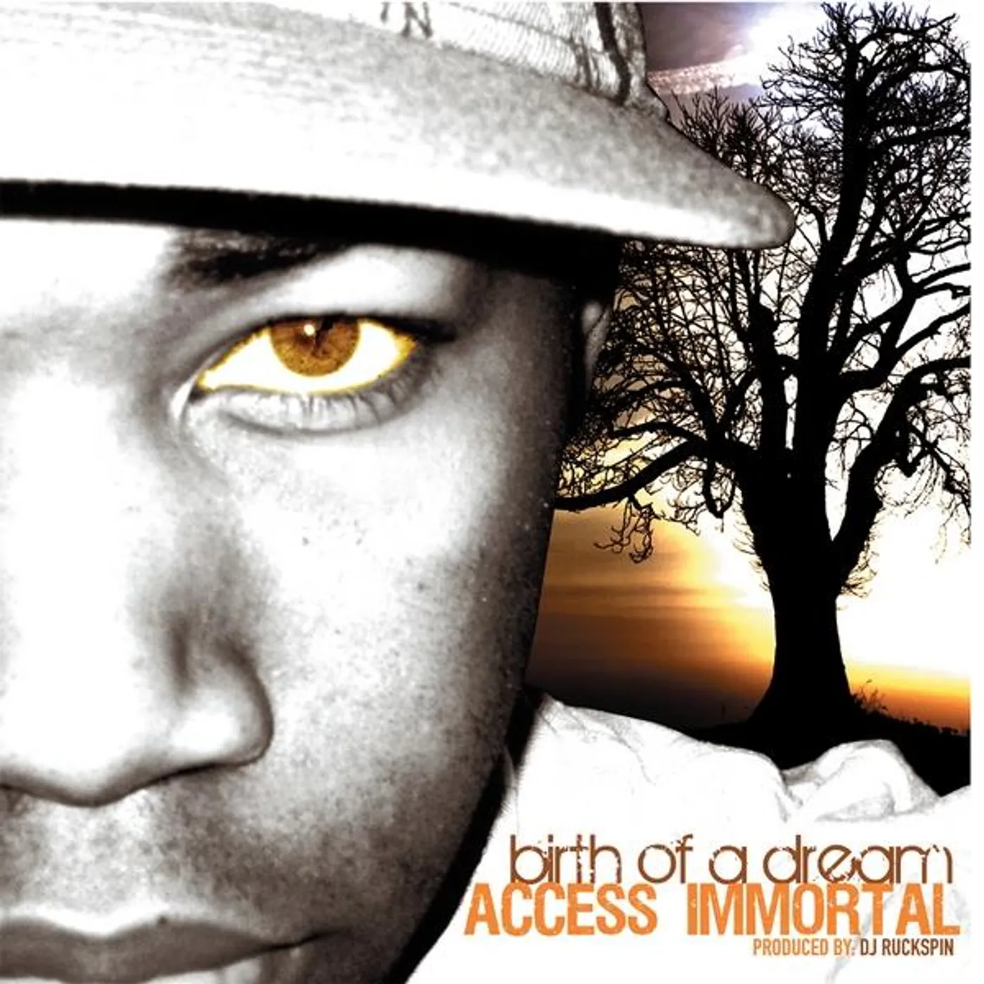 Access Immortal BIRTH OF A DREAM CD