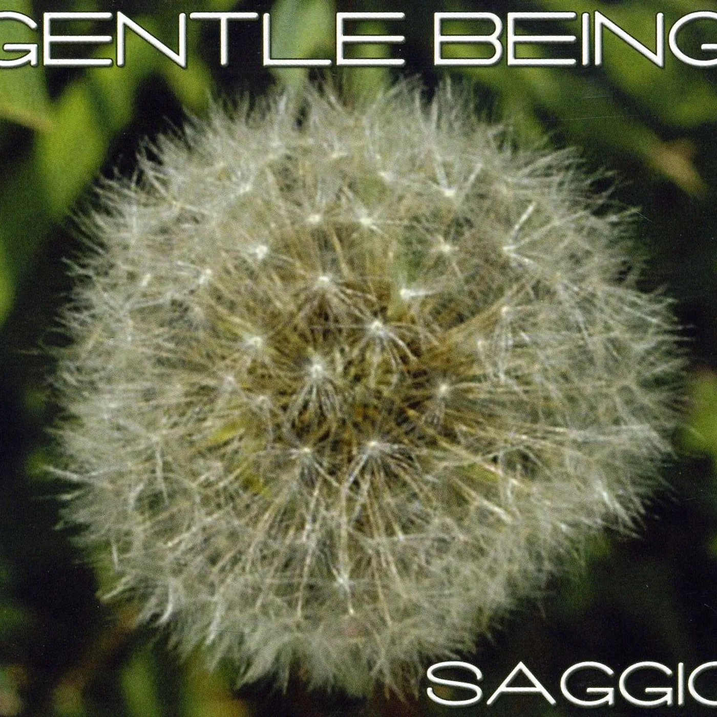Saggio GENTLE BEING CD