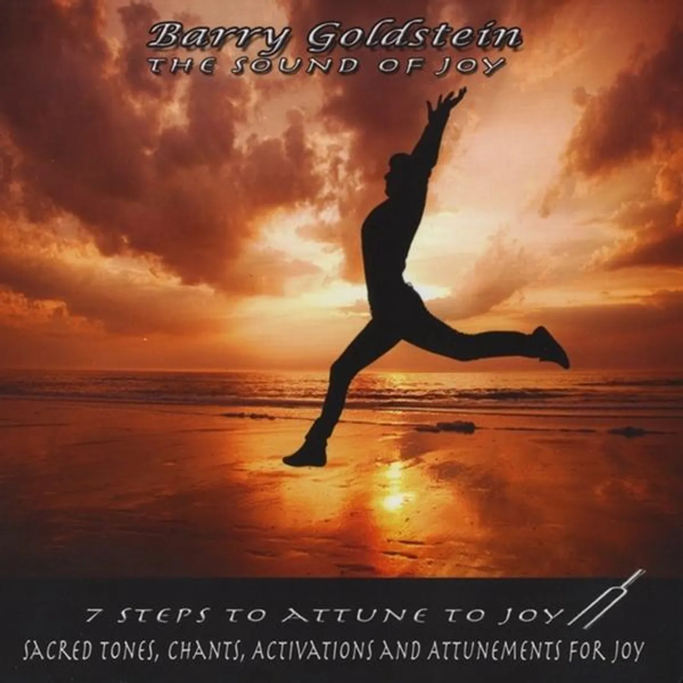 Barry Goldstein SOUND OF JOY CD