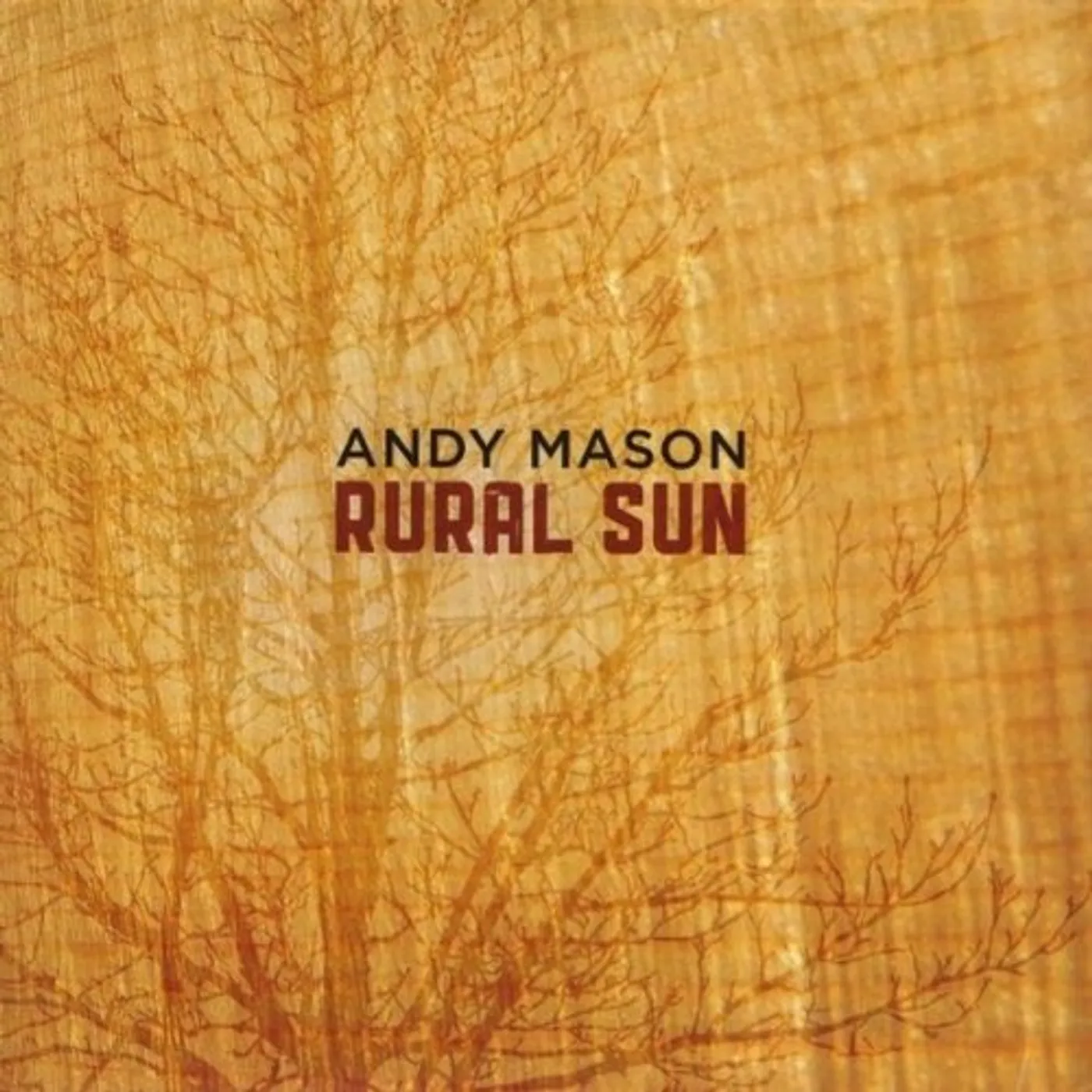 Andy Mason RURAL SUN CD