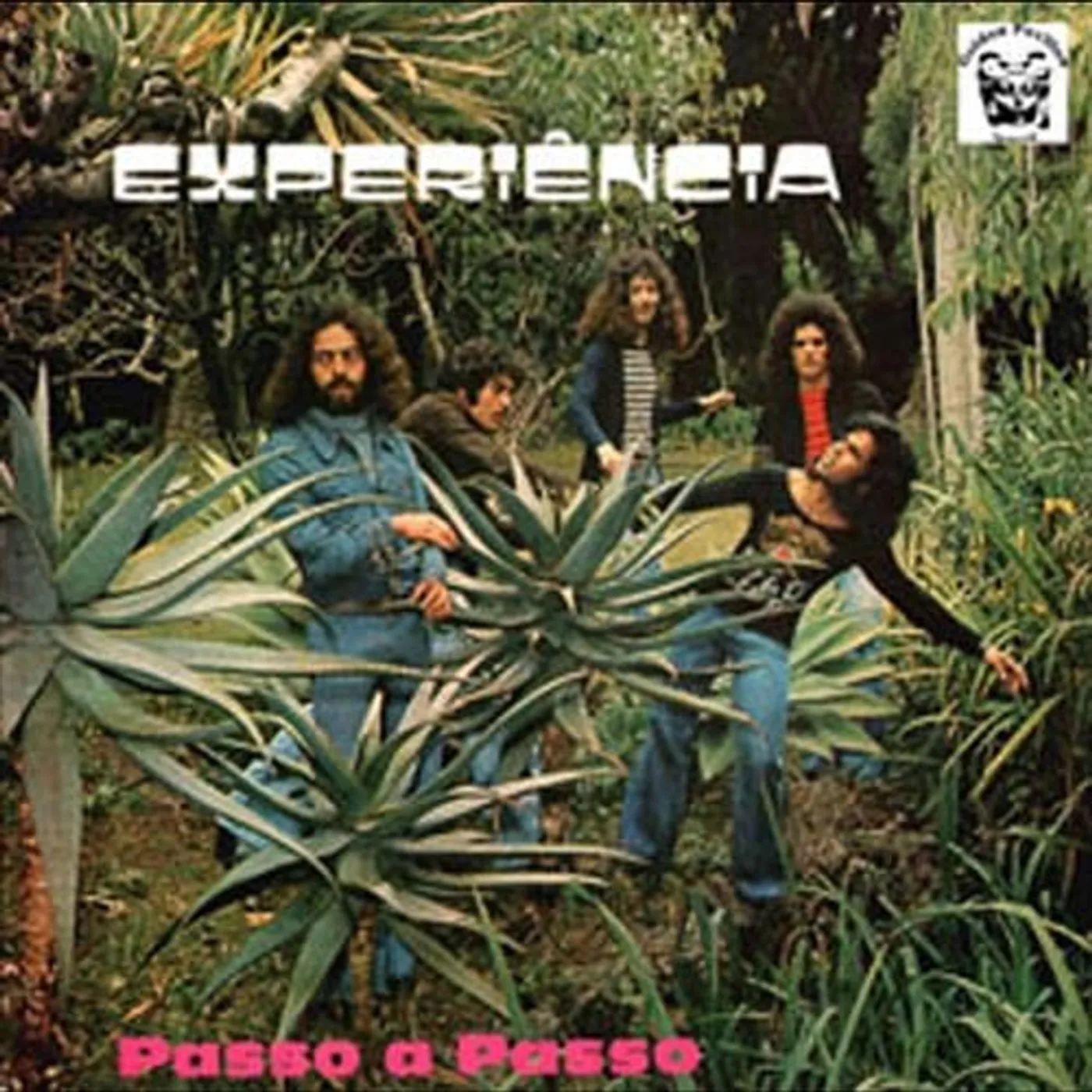 Experiencia Passo A Passo Vinyl Record