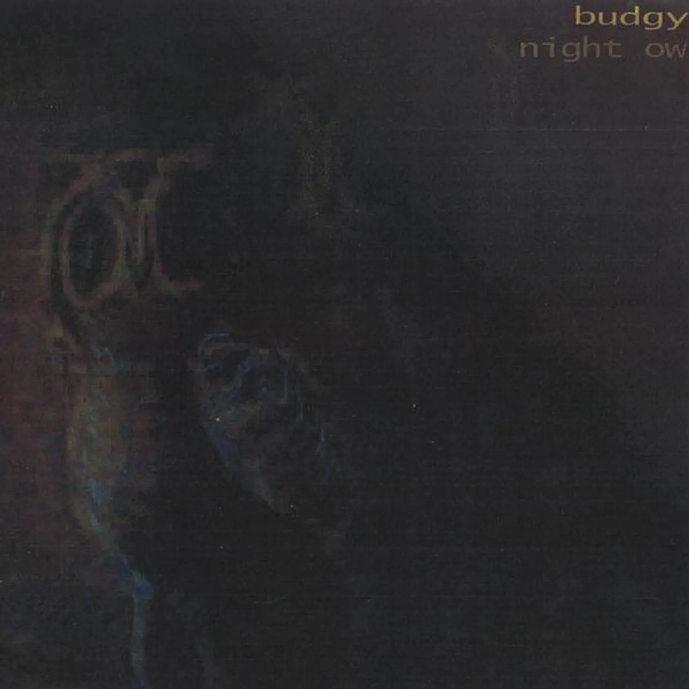 Budgy NIGHT OWL CD