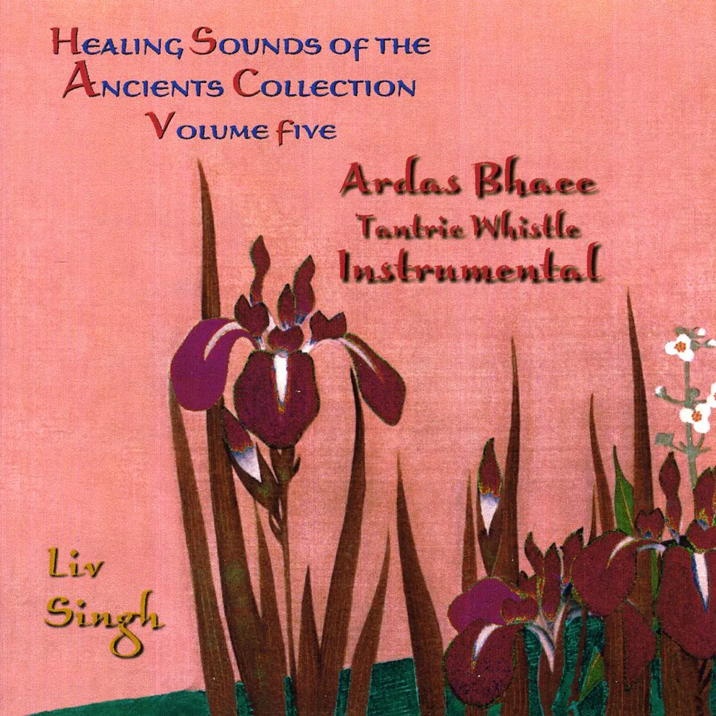 Liv & Let Liv HEALING SOUNDS OF THE ANCIENTS: ARDAS BHAEE 5 CD