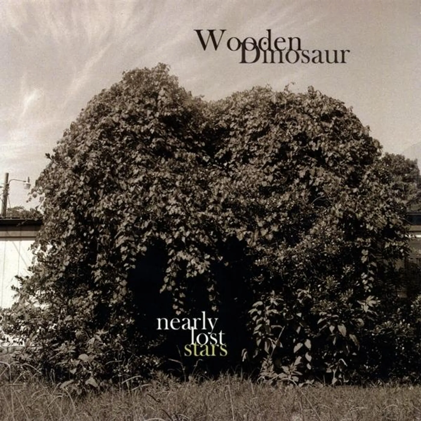 Wooden Dinosaur NEARLY LOST STARS CD