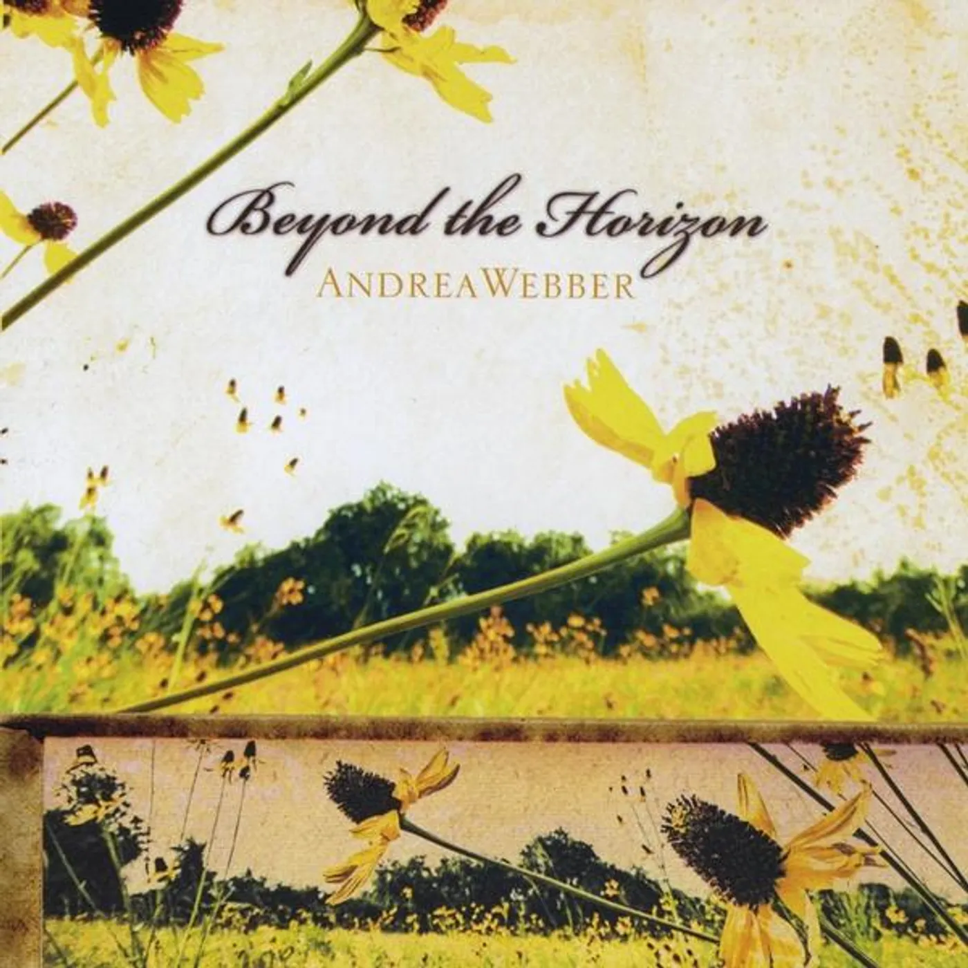 Andrea Webber BEYOND THE HORIZON CD