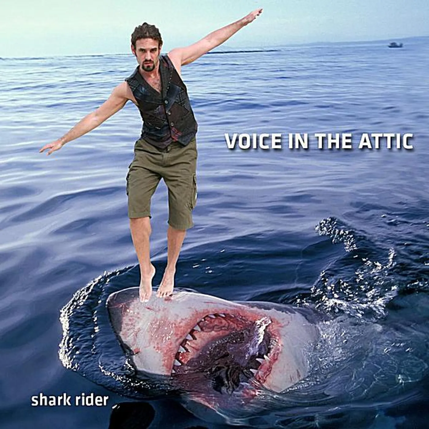 Voice In the Attic SHARK RIDER CD