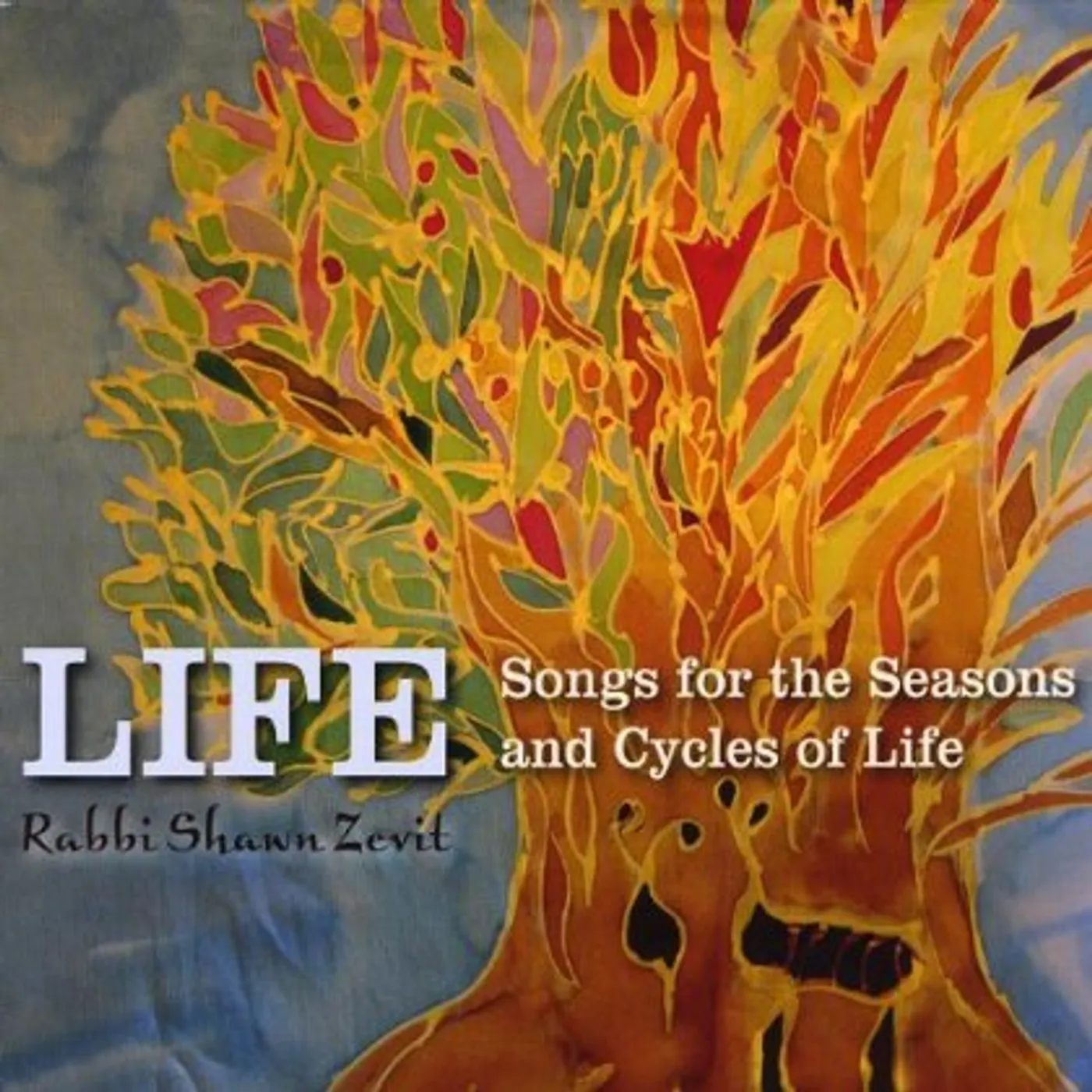 Shawn Zevit LIFE: SONGS FOR THE SEASONS & CYCLES OF LIFE CD
