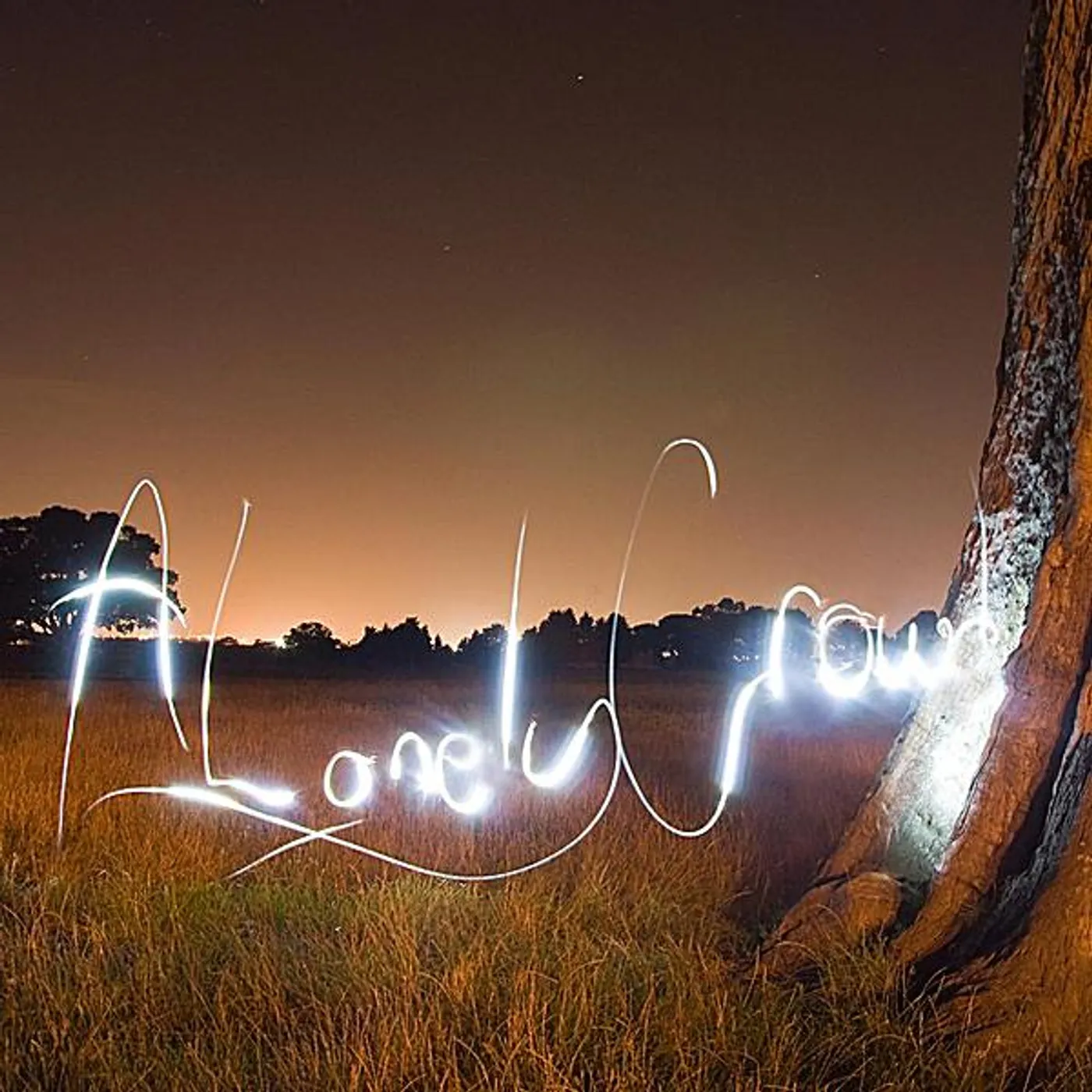 Lonely Crowd USER HOSTILE CD