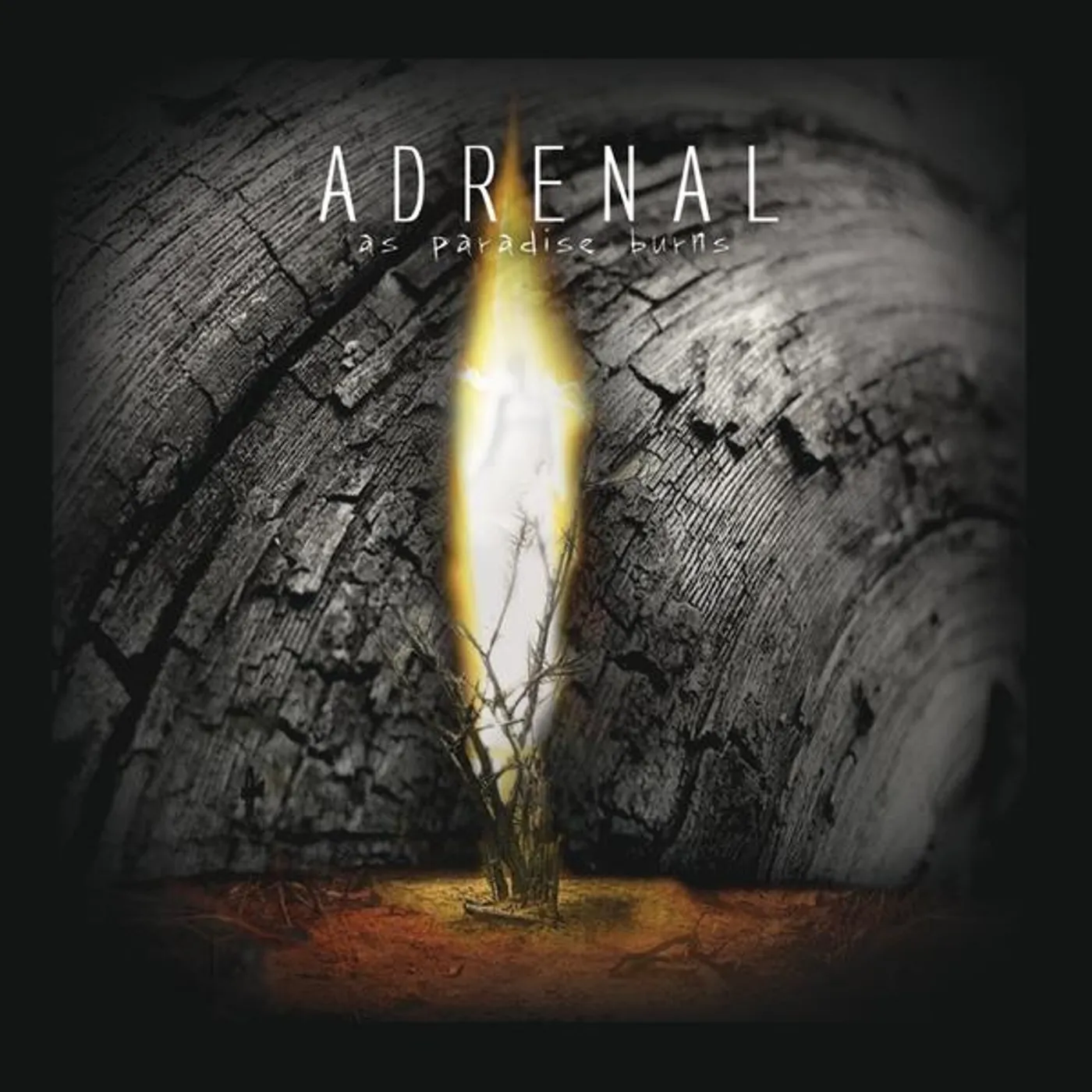 Adrenal AS PARADISE BURNS CD