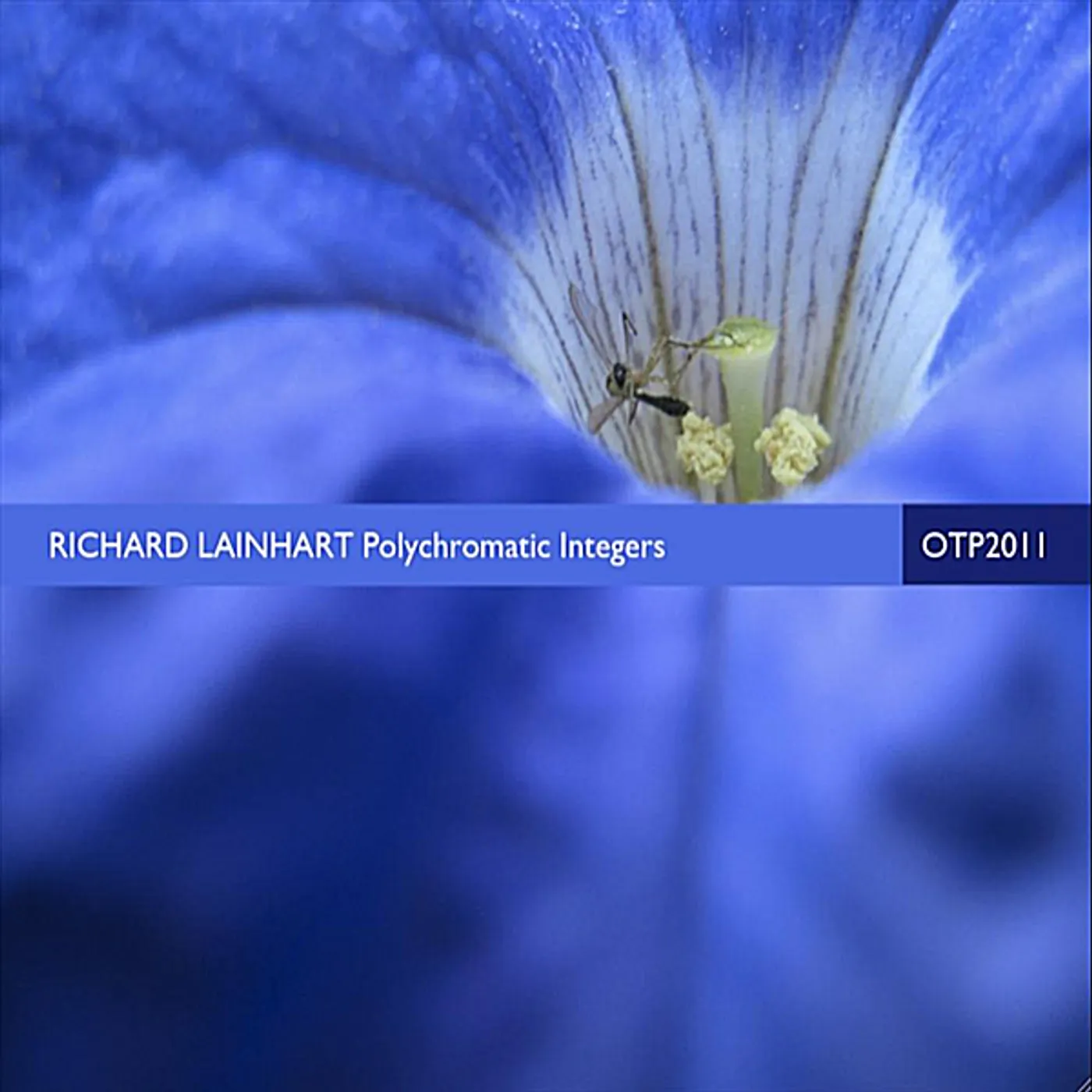 Richard Lainhart POLYCHROMATIC INTEGERS CD