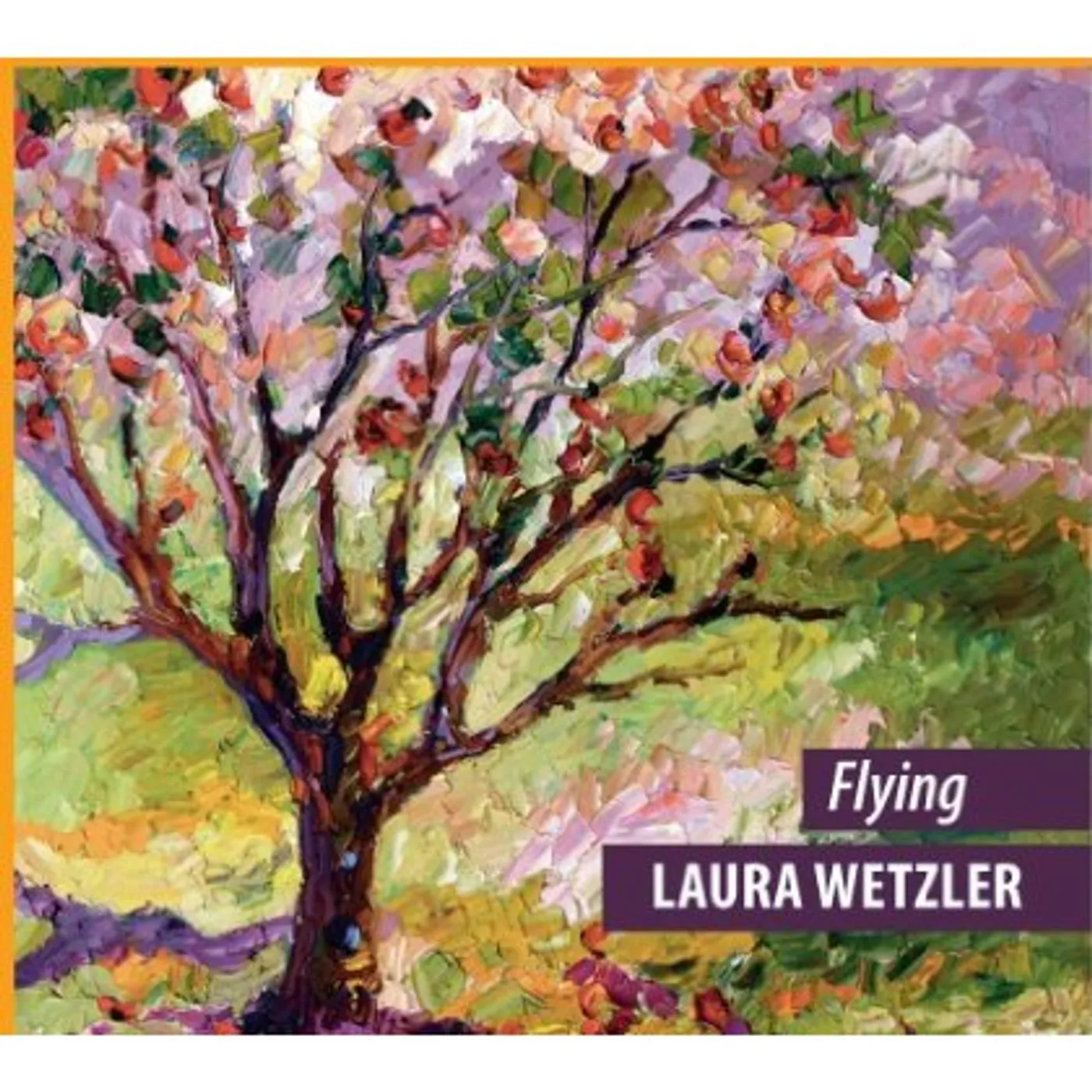 Laura Wetzler FLYING CD