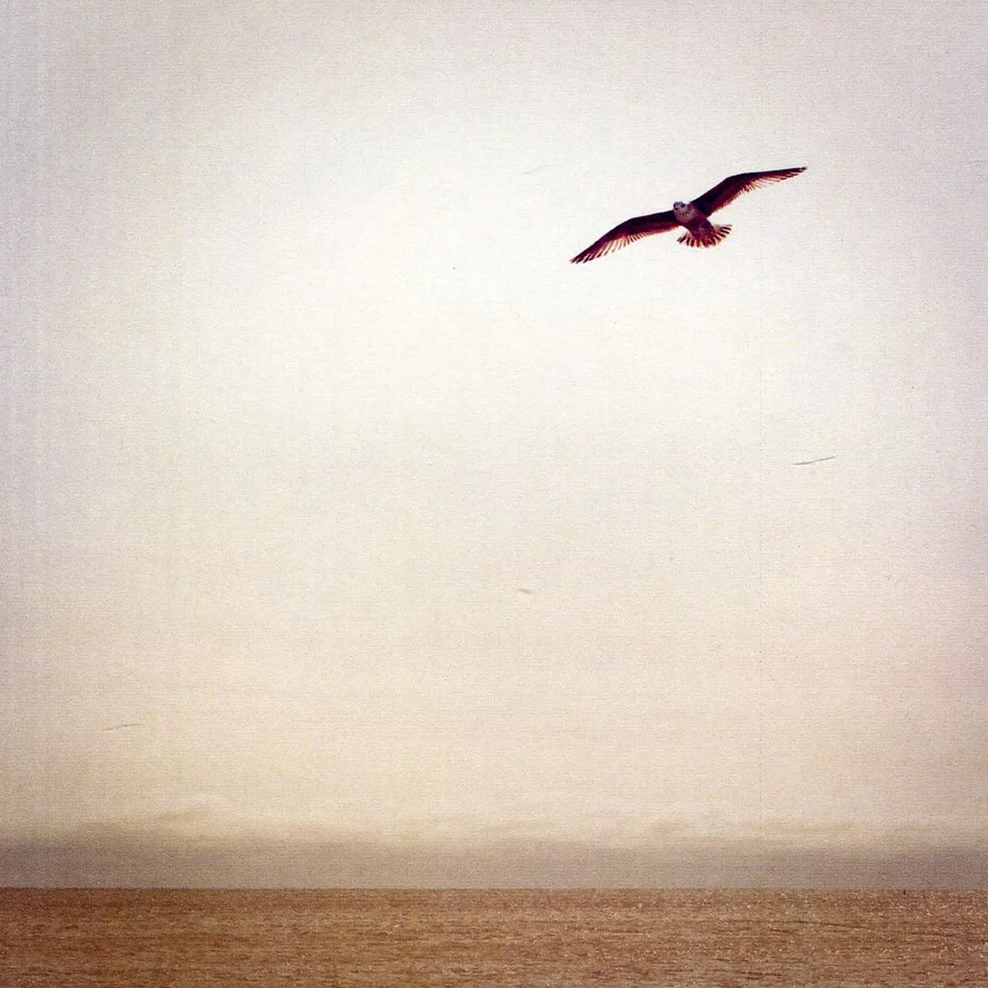 Phillip Wilkerson TEN TO ELEVEN CD