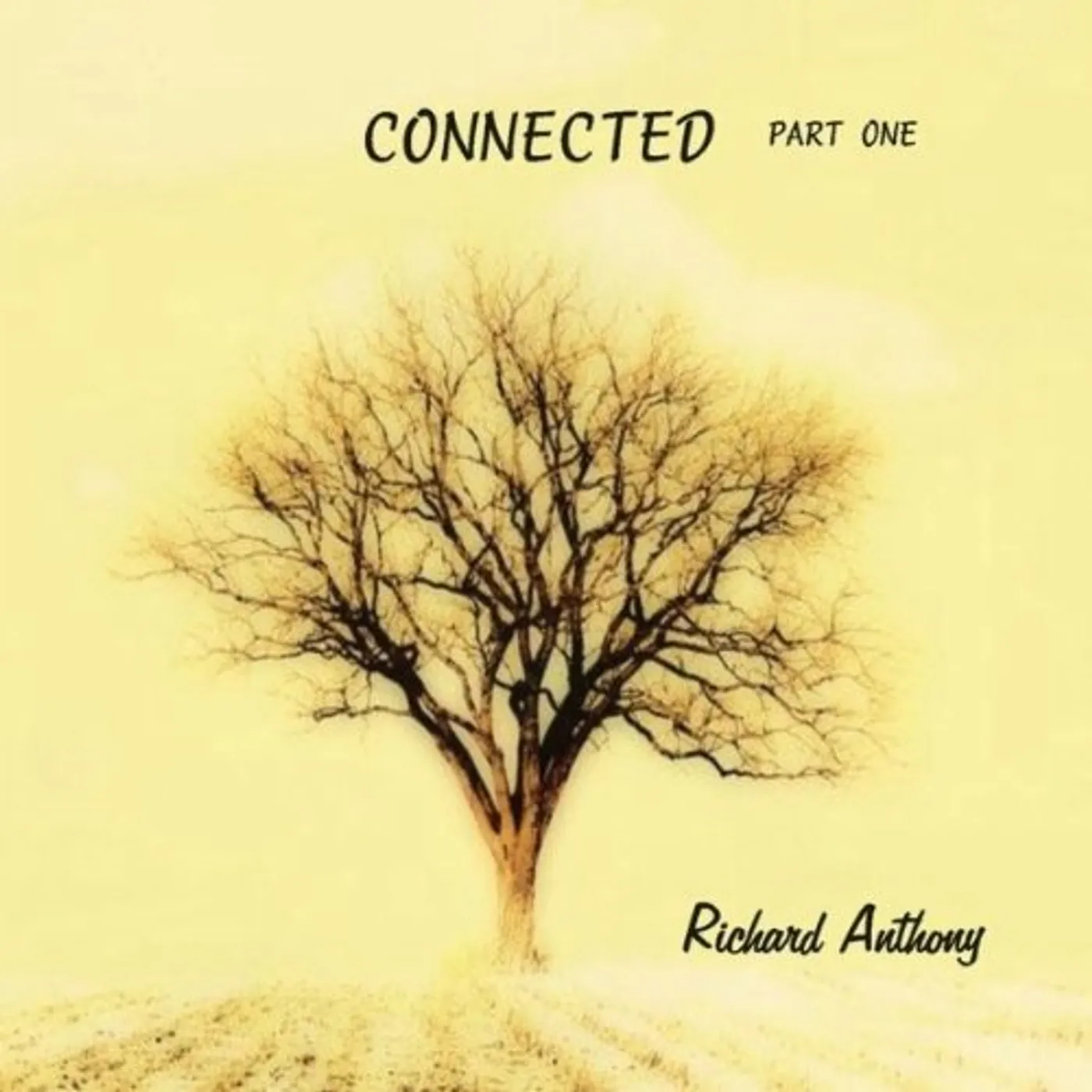 Richard Anthony CONNECTED CD