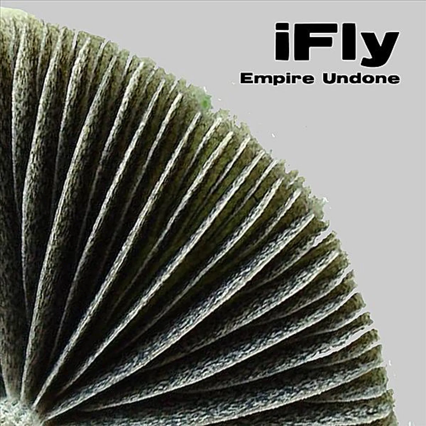 iFly EMPIRE UNDONE CD