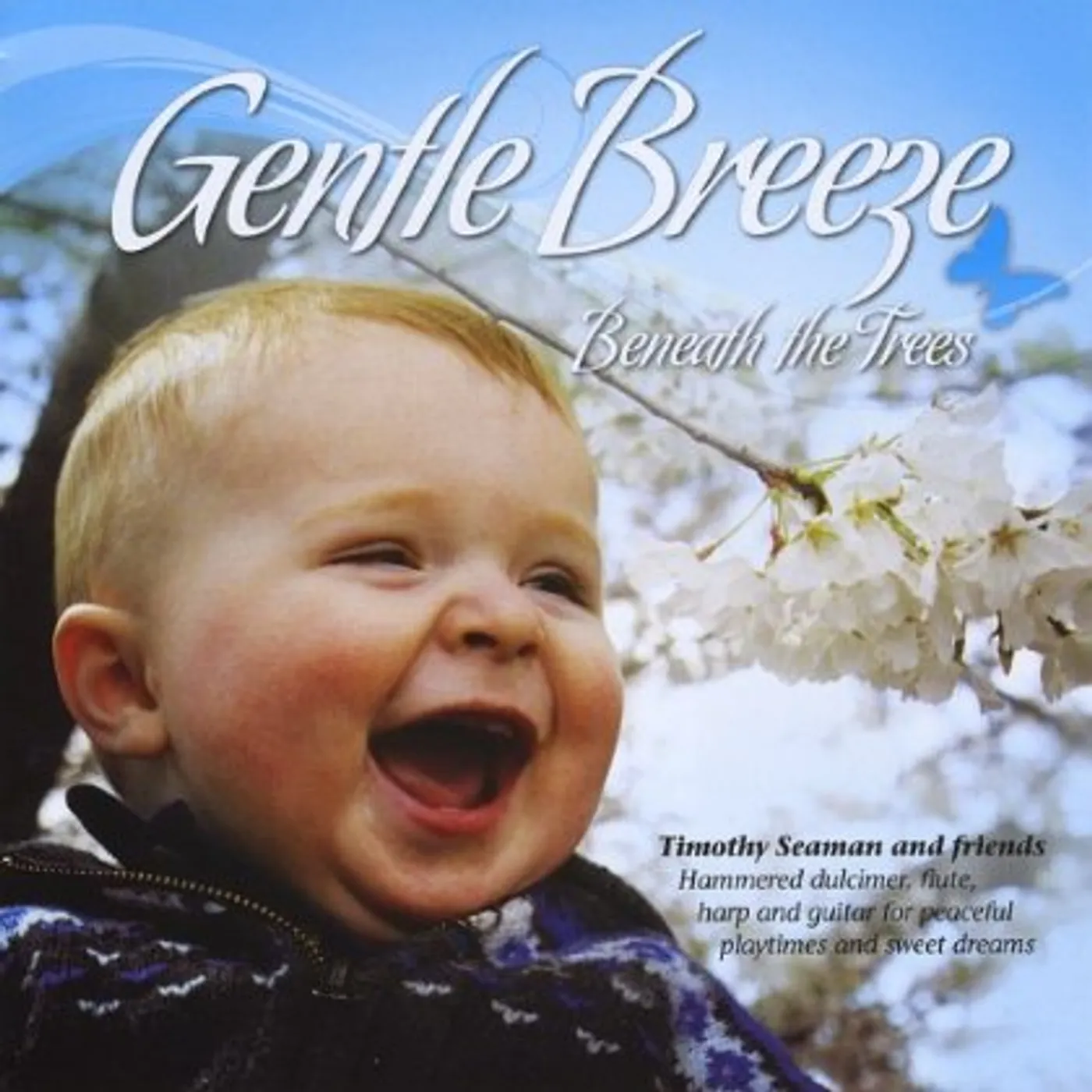 Timothy Seaman GENTLE BREEZE BENEATH THE TREES CD