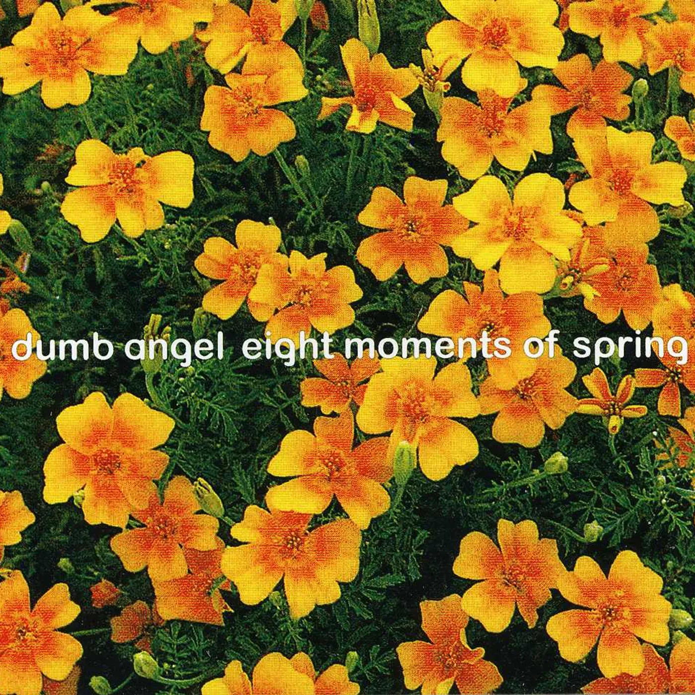 Dumb Angel EIGHT MOMENTS OF SPRING CD