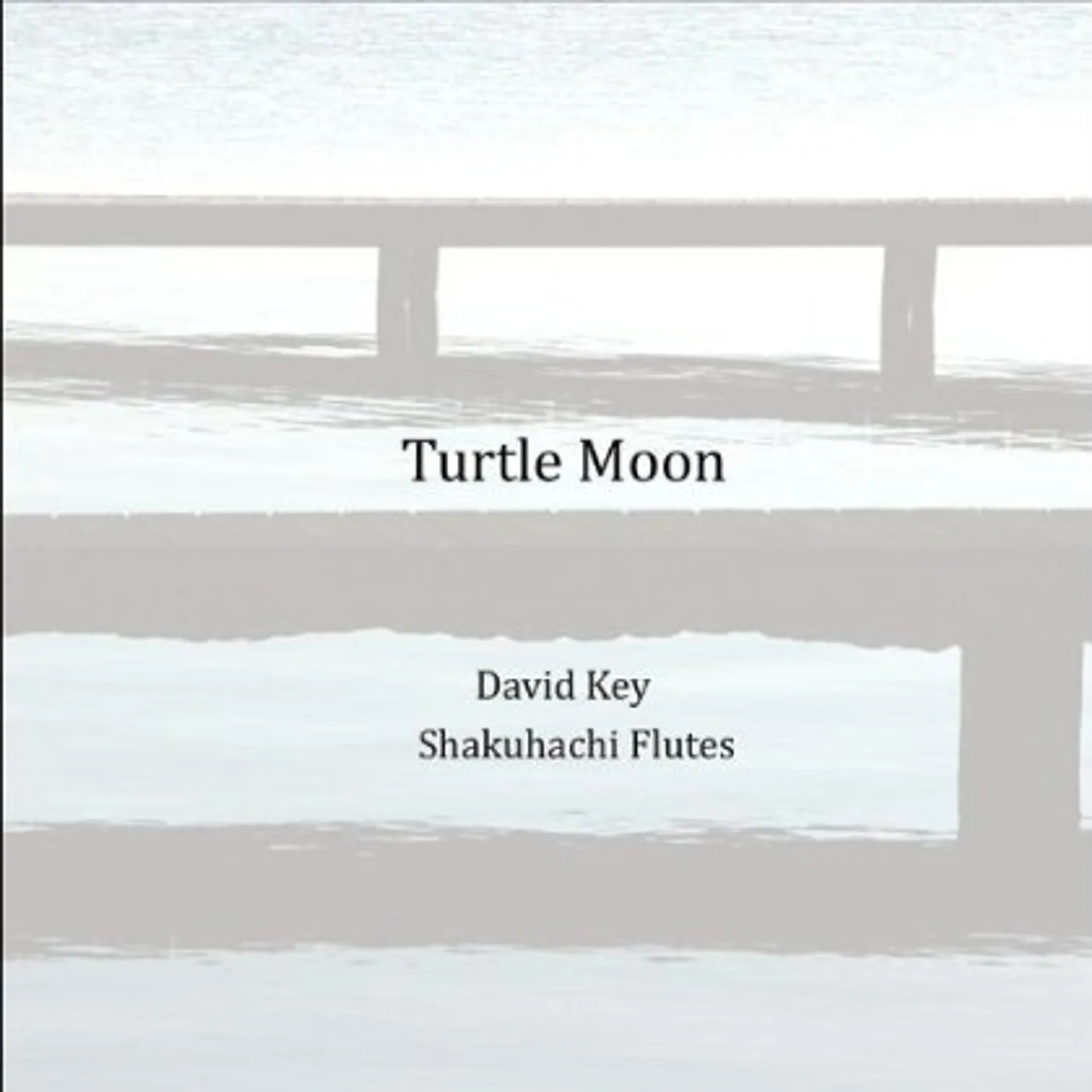 David Key TURTLE MOON CD