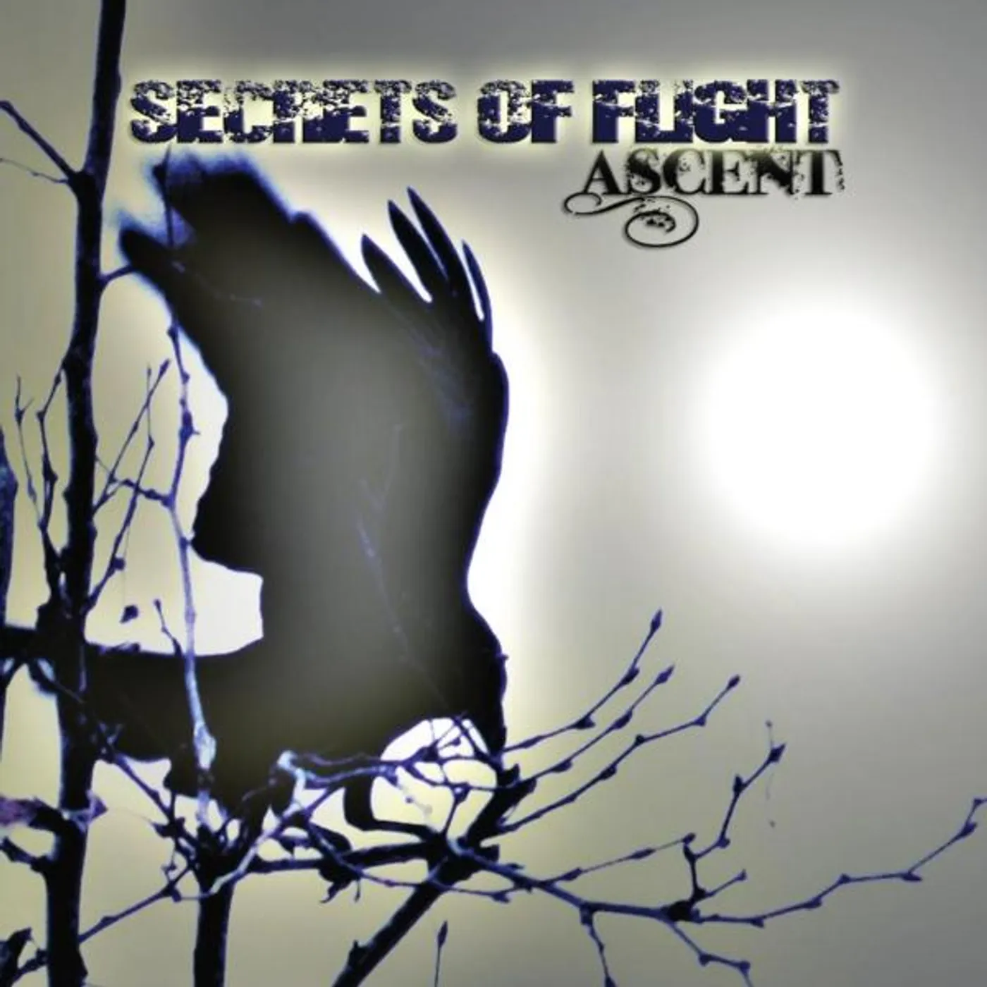 Ascent SECRETS OF FLIGHT CD
