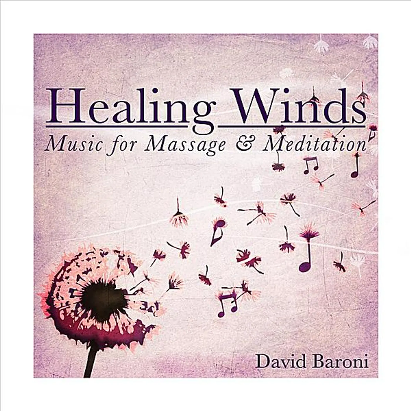 David Baroni HEALING WINDS: MUSIC FOR MASSAGE & MEDITATION CD