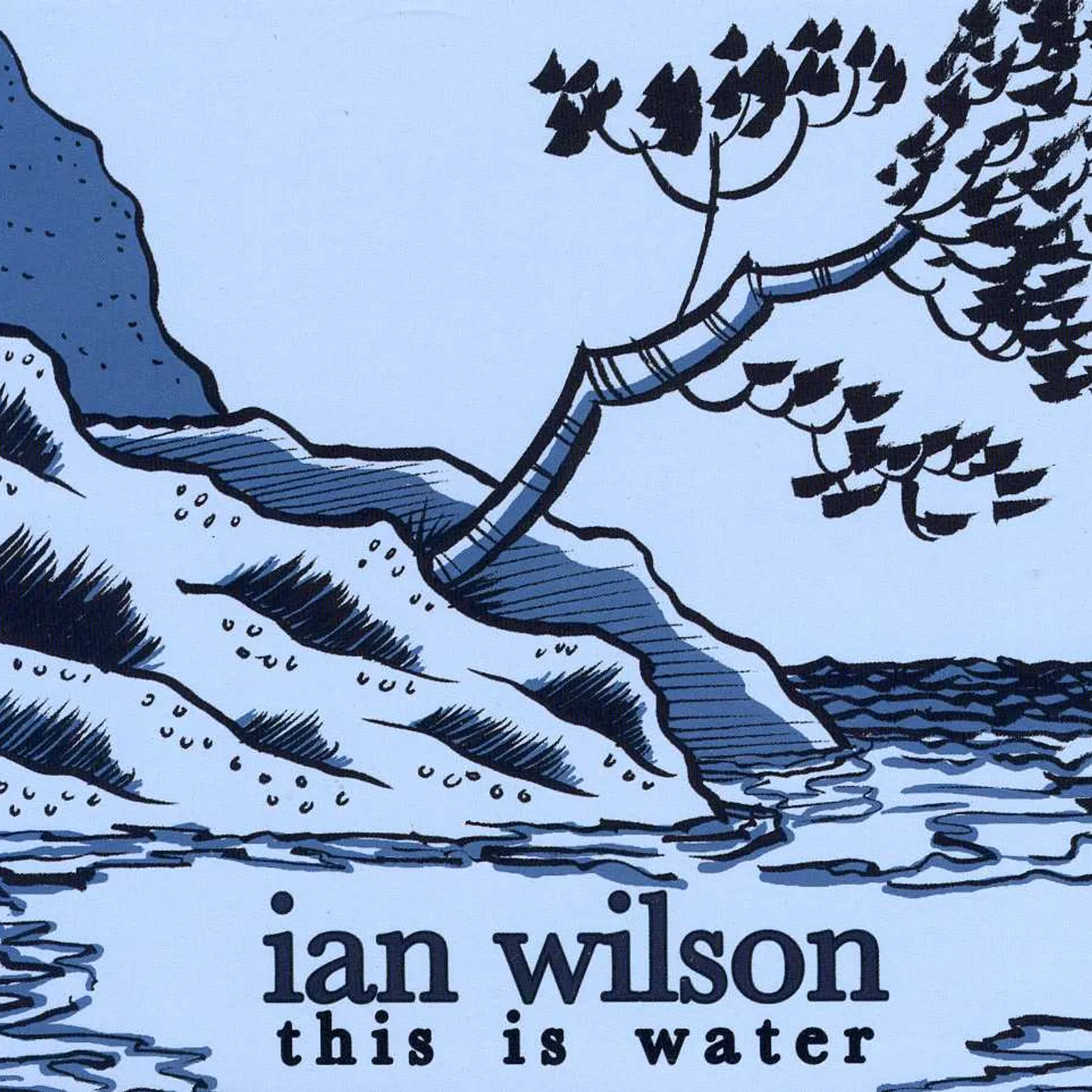 Ian Wilson THIS IS WATER CD