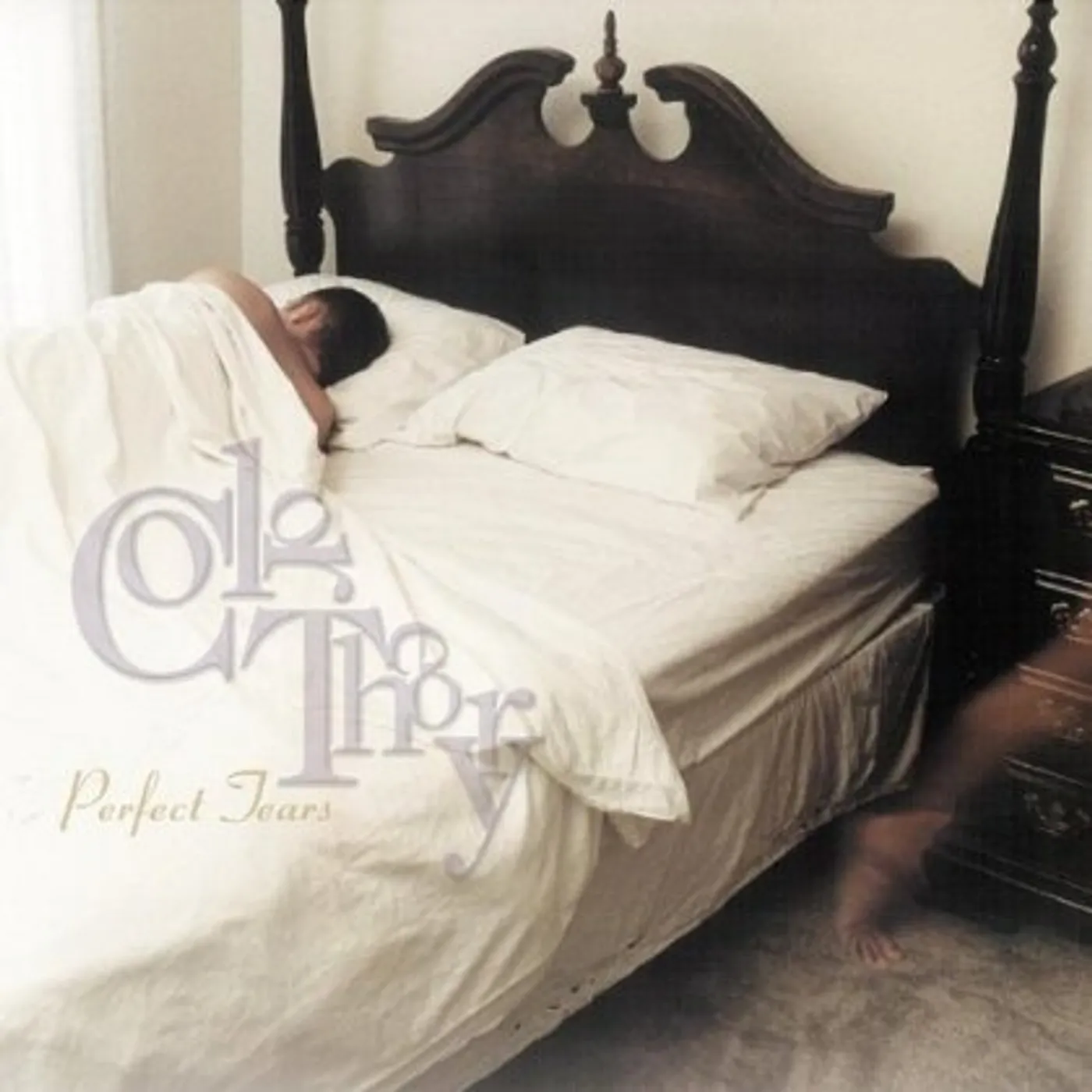 Color Theory PERFECT TEARS CD