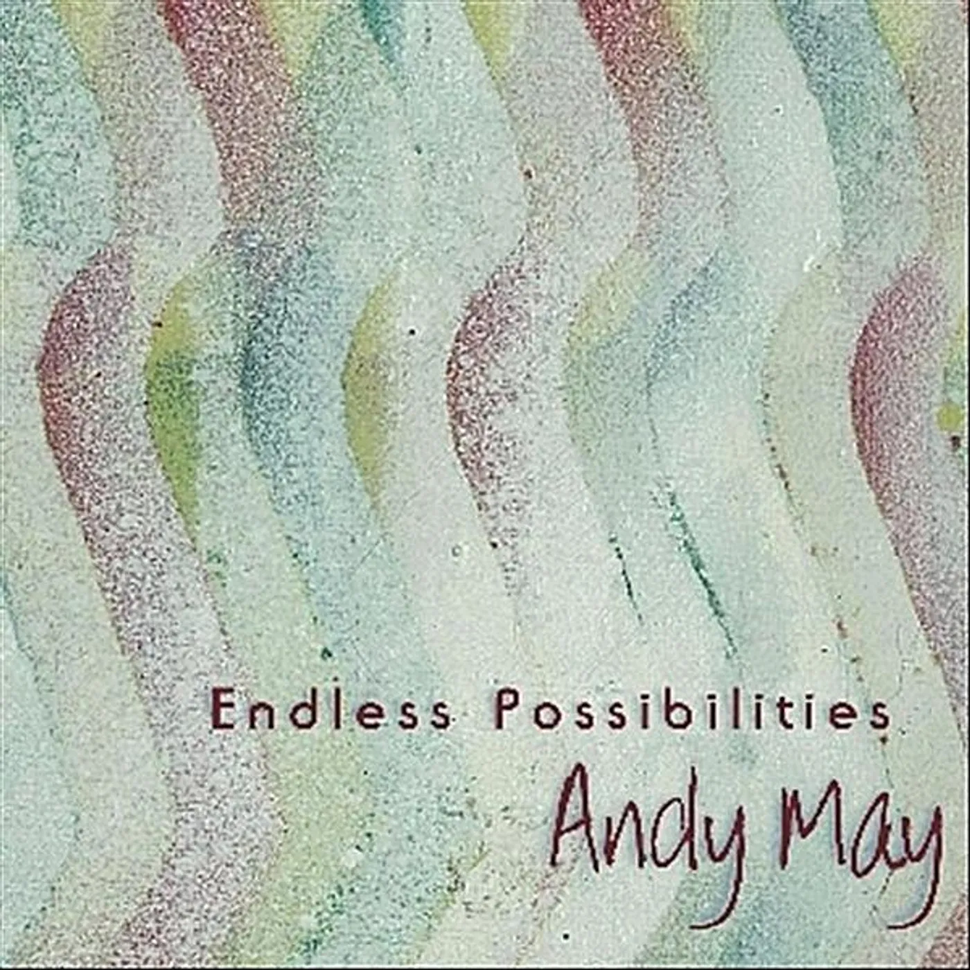 Andy May ENDLESS POSSIBILITIES CD
