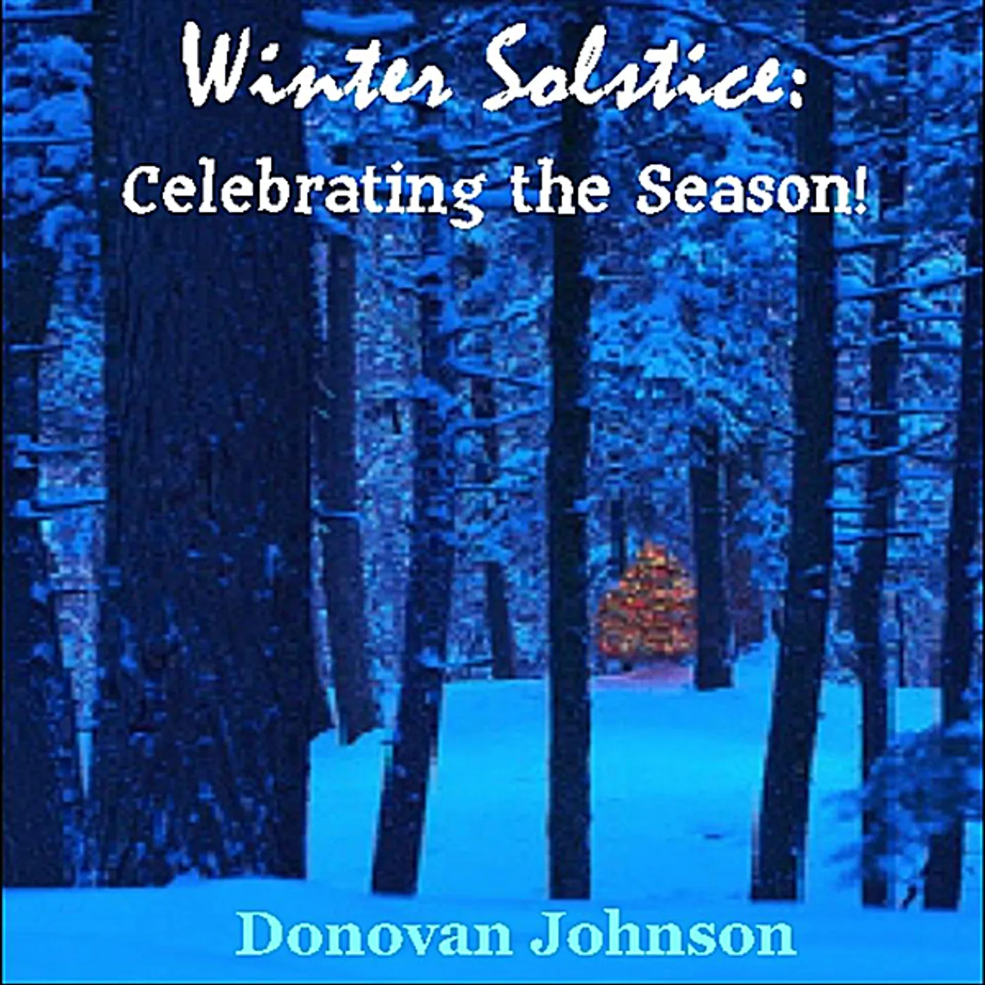 Donovan Johnson WINTER SOLSTICE: CELEBRATING THE SEASON! CD