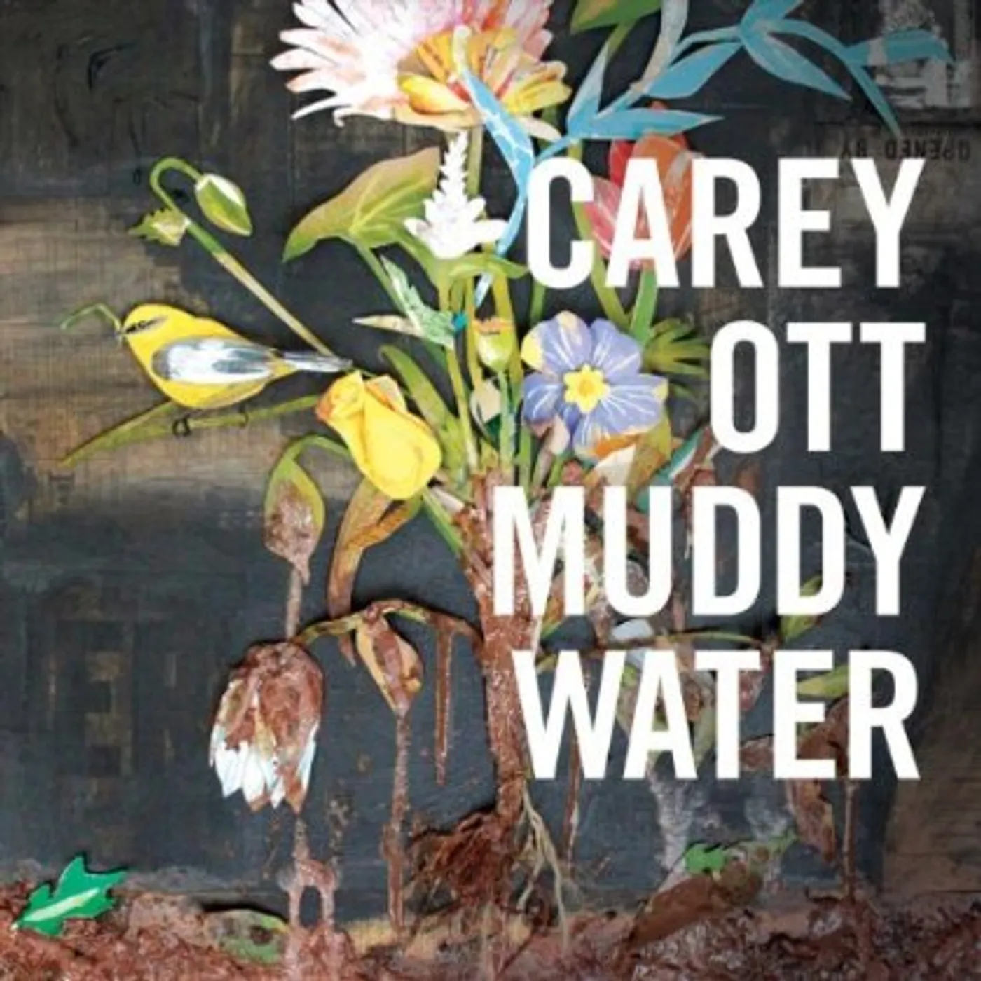 Carey Ott MUDDYWATER CD