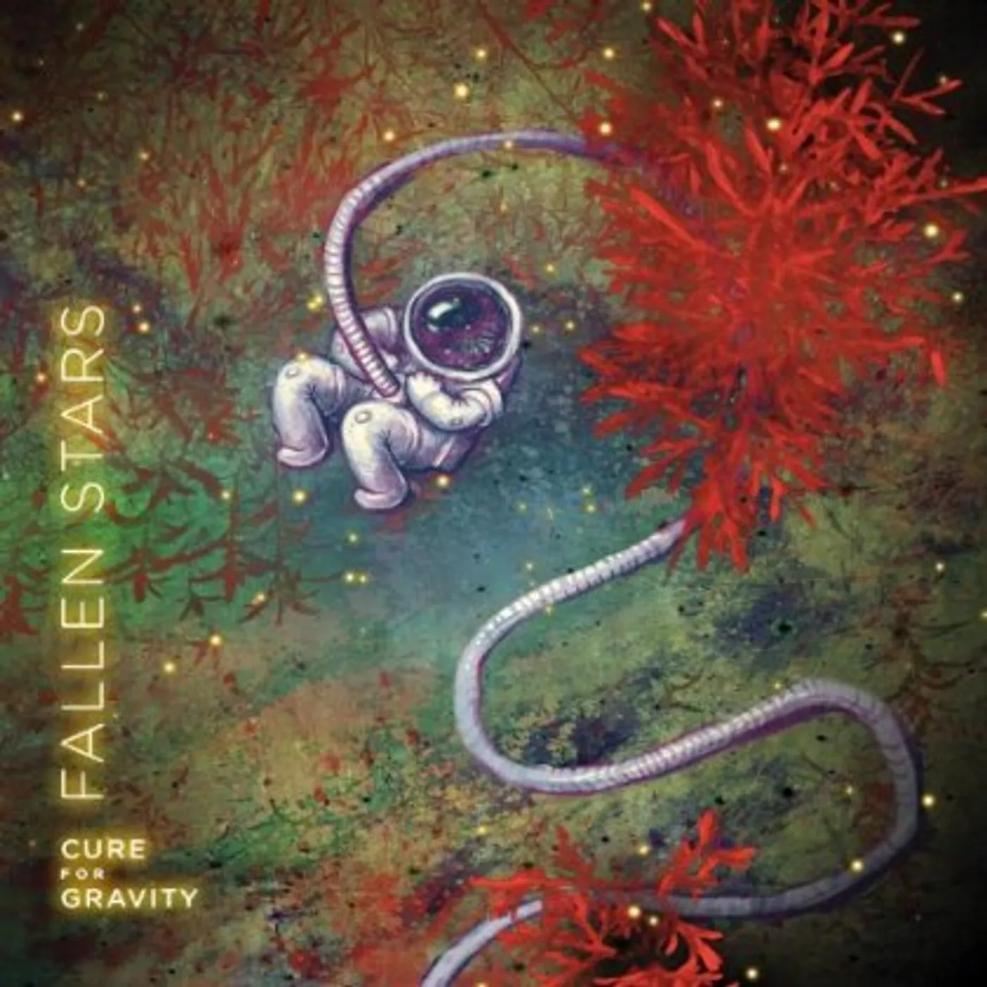 Cure for Gravity FALLEN STARS CD