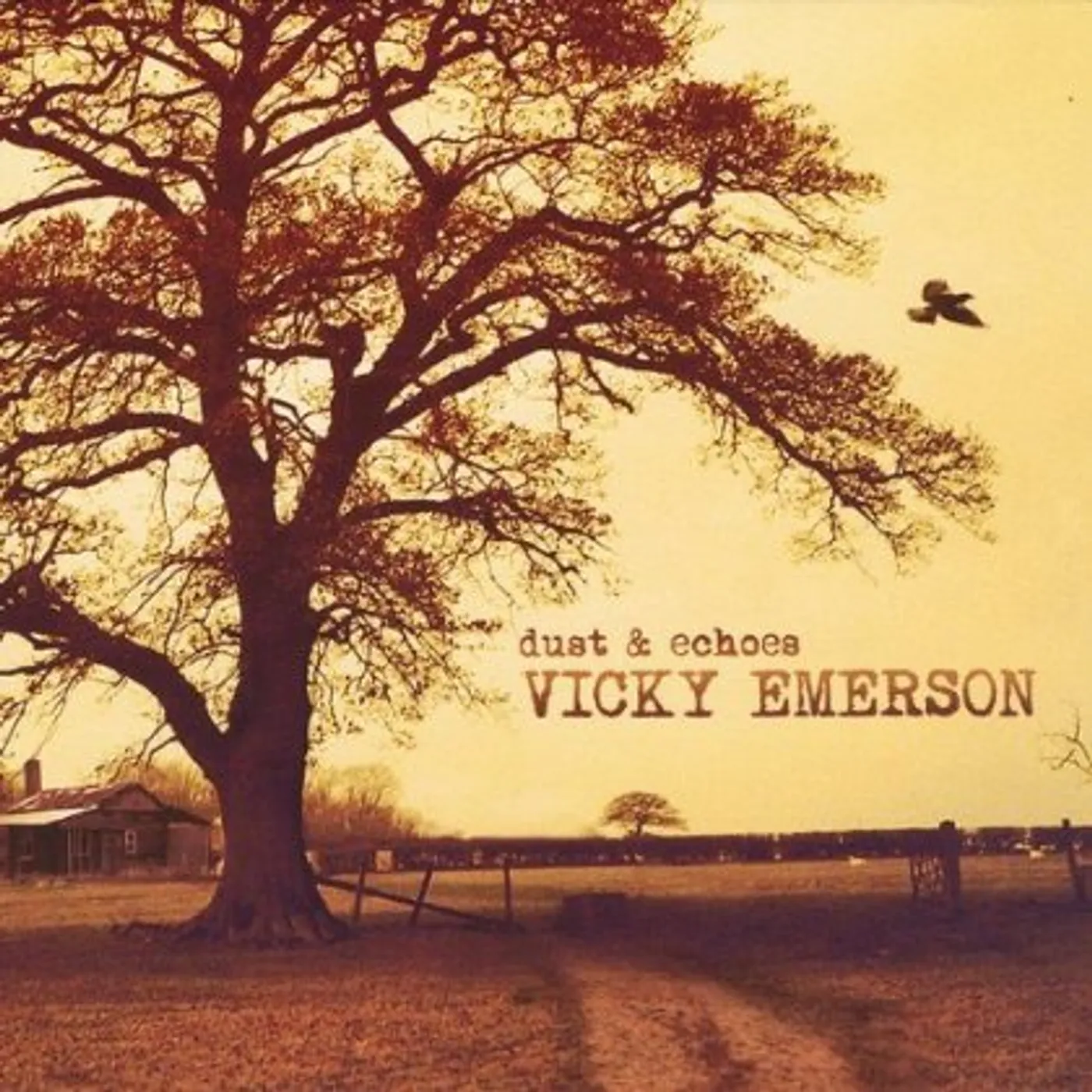 Vicky Emerson DUST & ECHOES CD