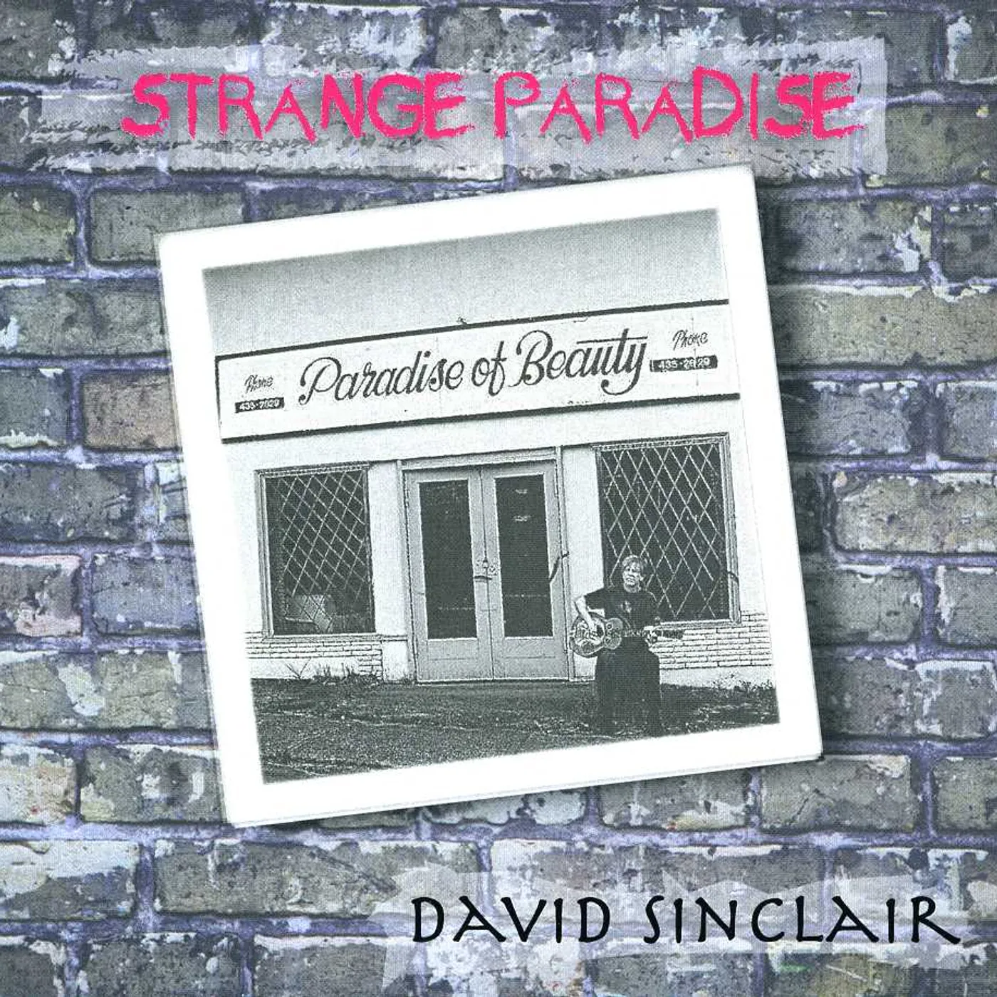 David Sinclair STRANGE PARADISE CD