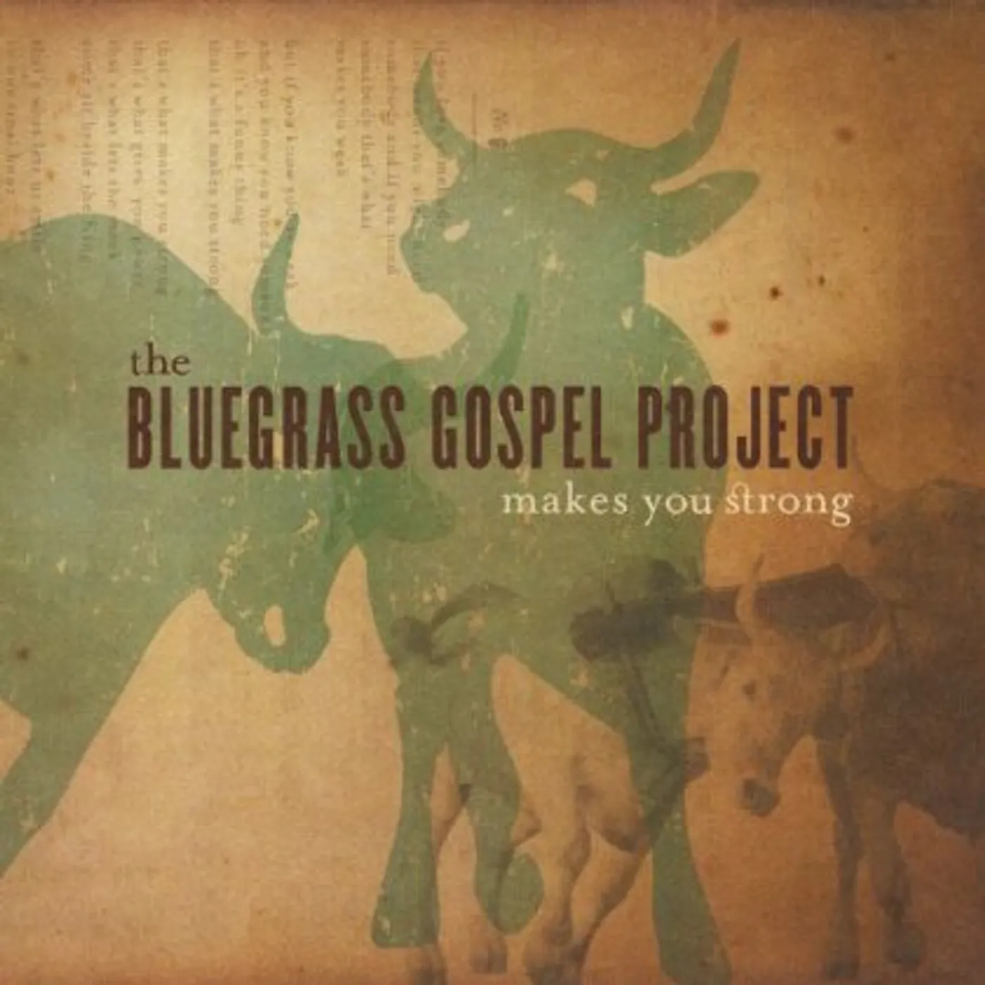 Bluegrass Gospel Project MAKES YOU STRONG CD