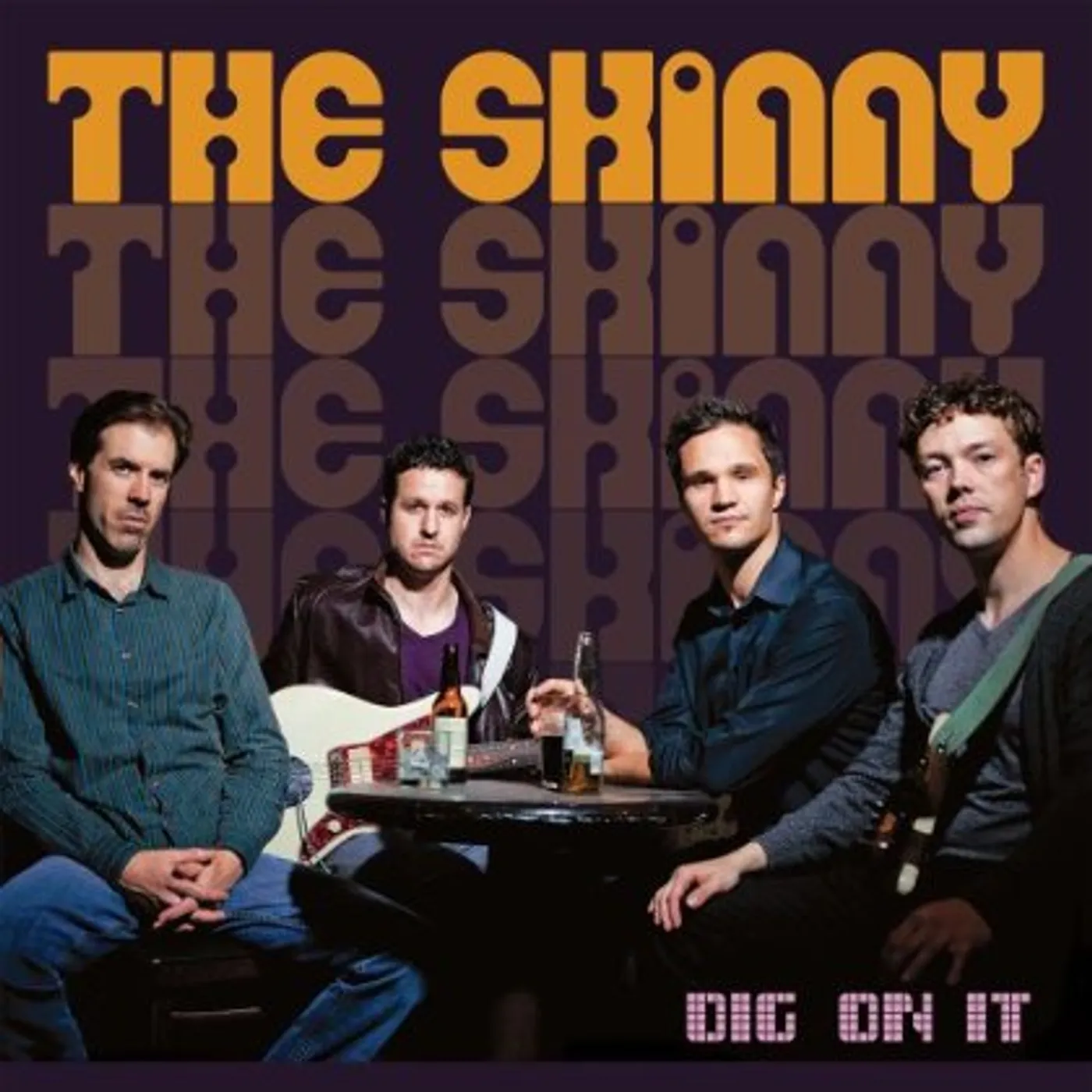 The Skinny DIG ON IT CD
