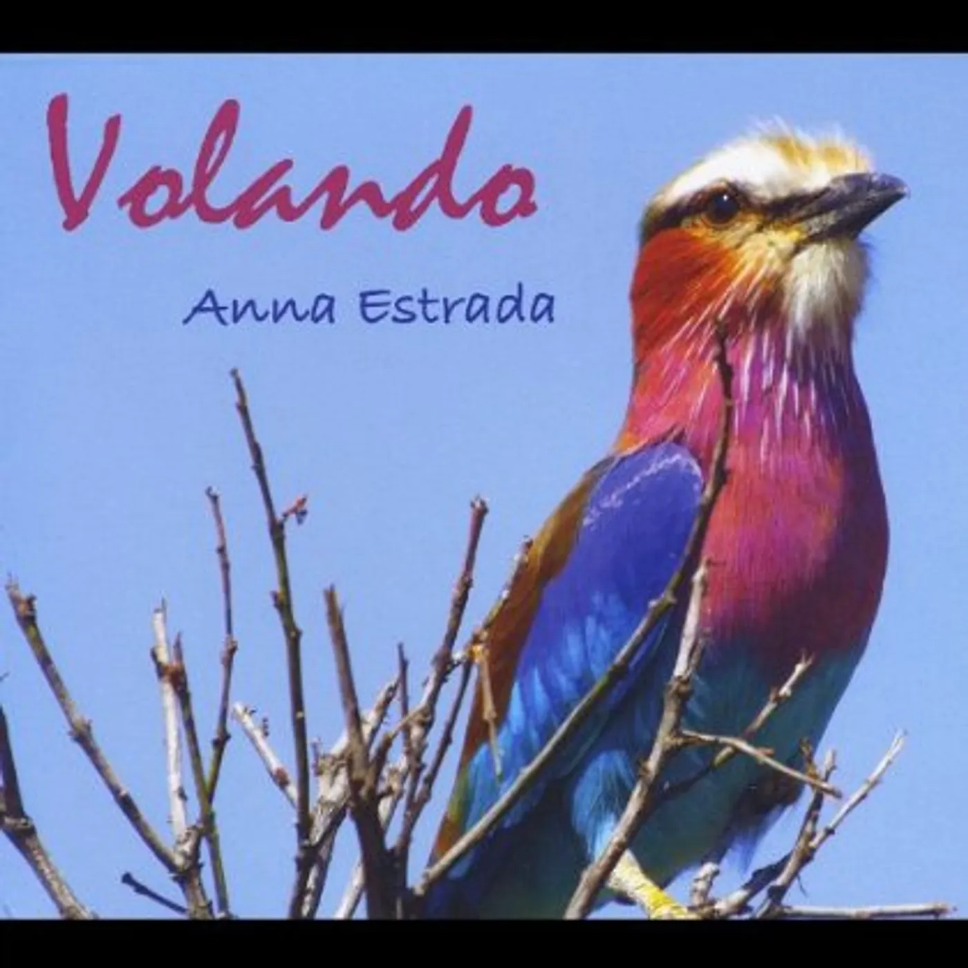 Anna Estrada VOLANDO CD