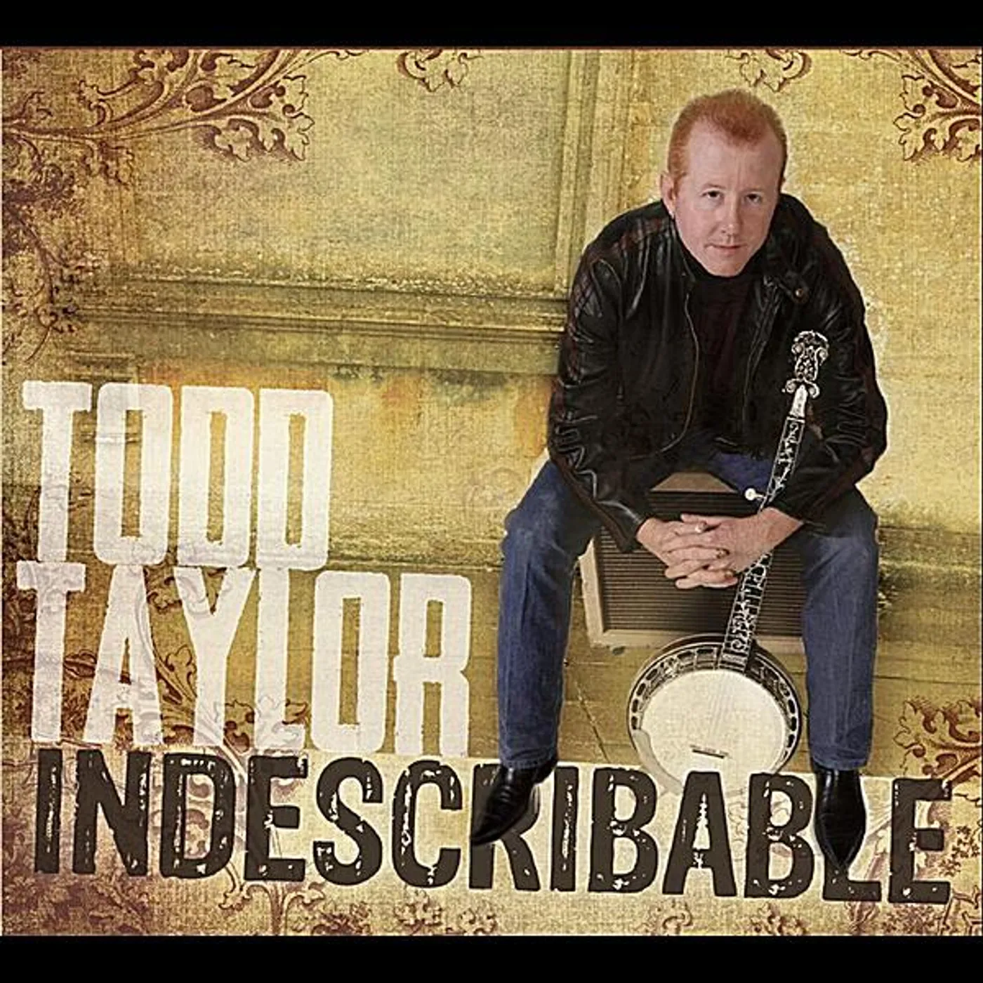 Todd Taylor INDESCRIBABLE CD