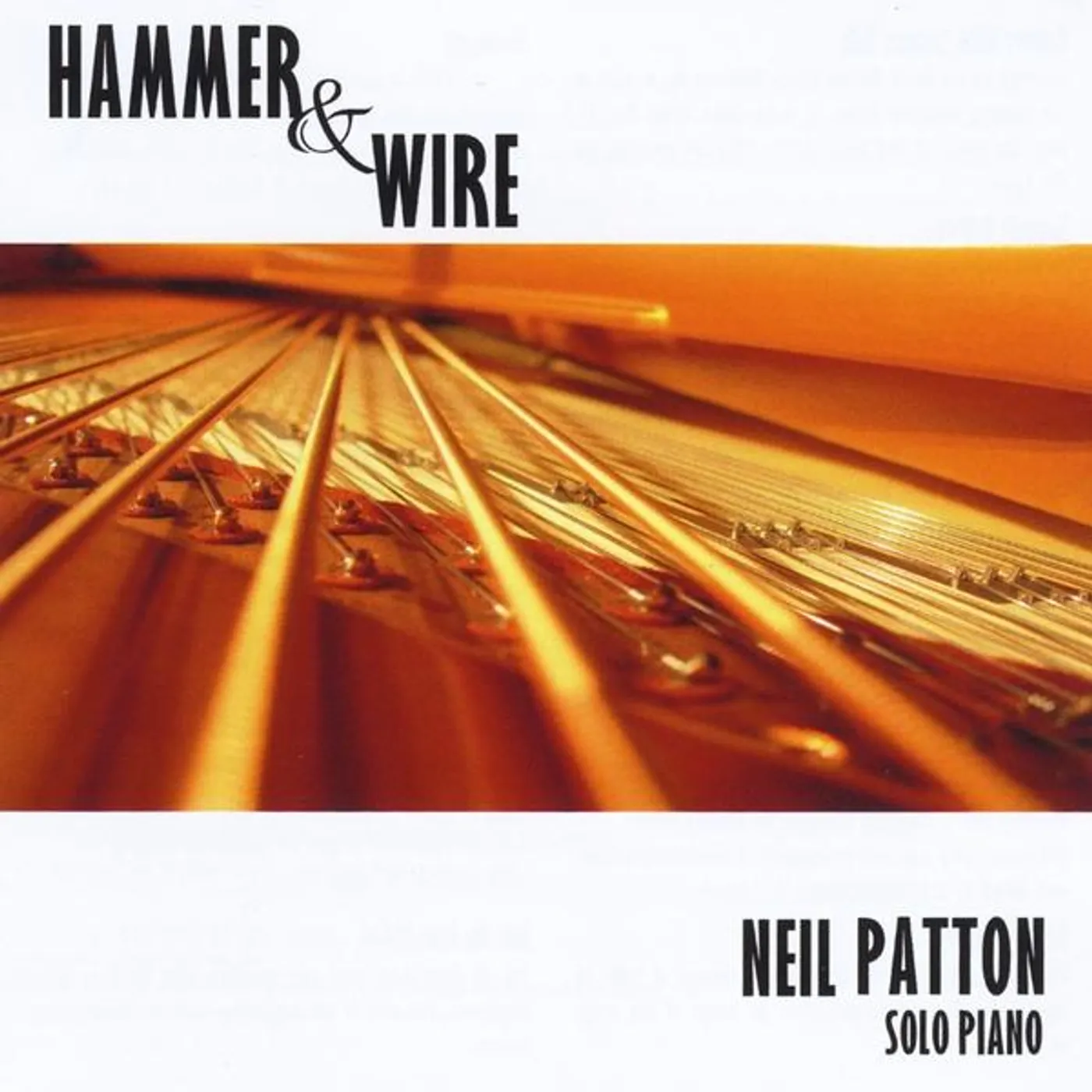 Neil Patton HAMMER & WIRE CD