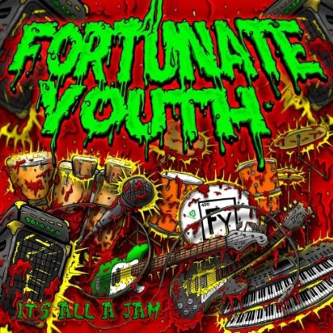 Fortunate Youth ITS ALL A JAM CD