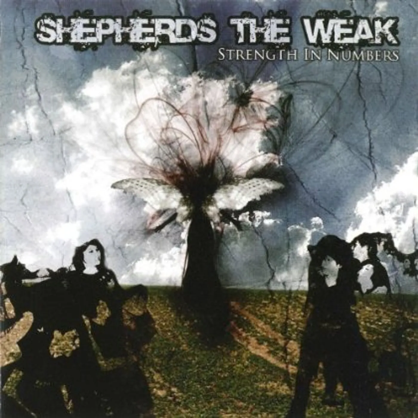 Shepherds the Weak STRENGTH IN NUMBERS CD