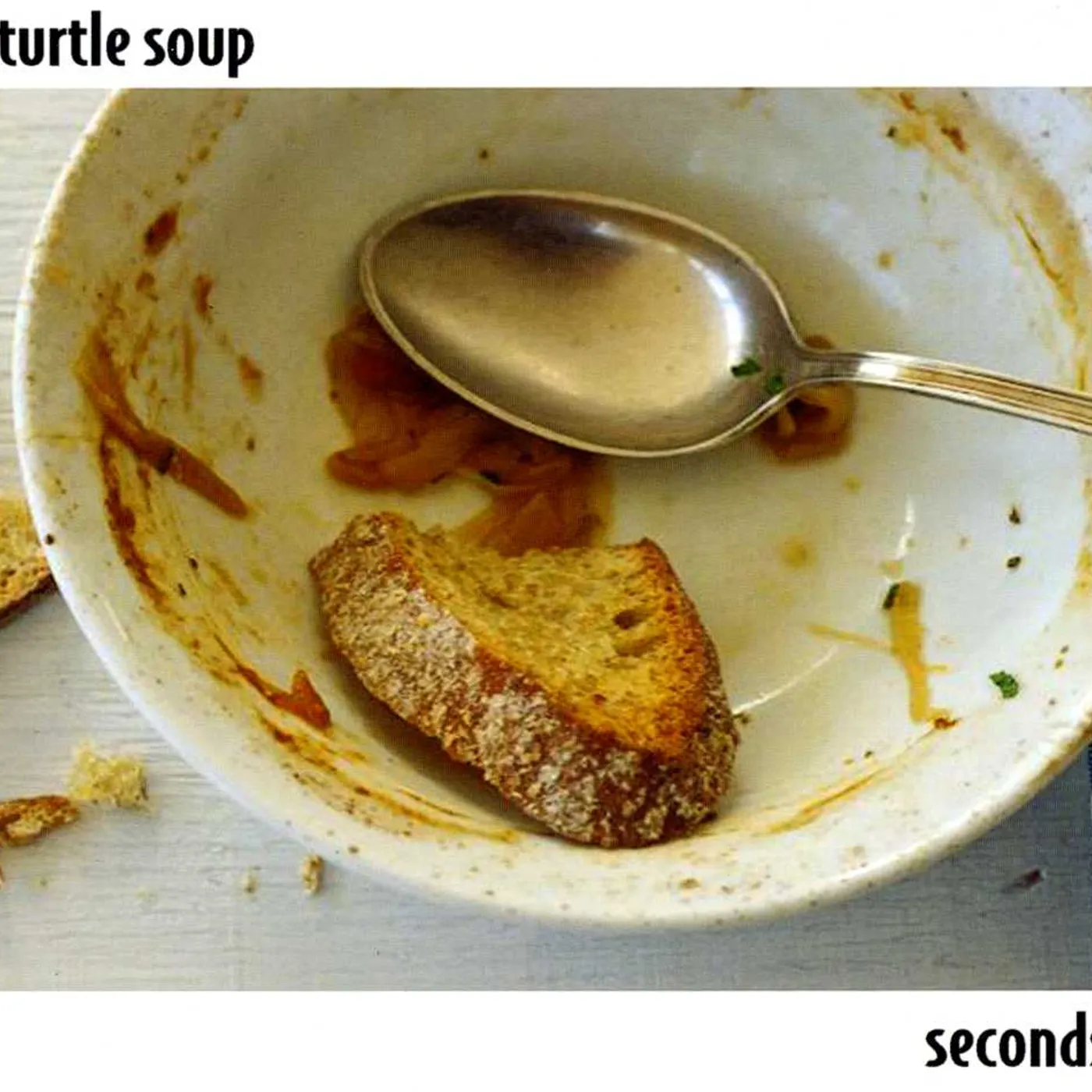 Turtle Soup SECONDS CD