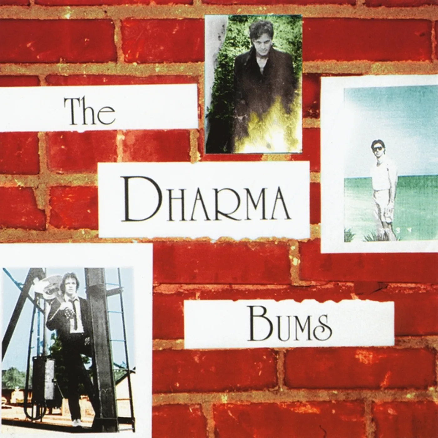 DHARMA BUMS CD