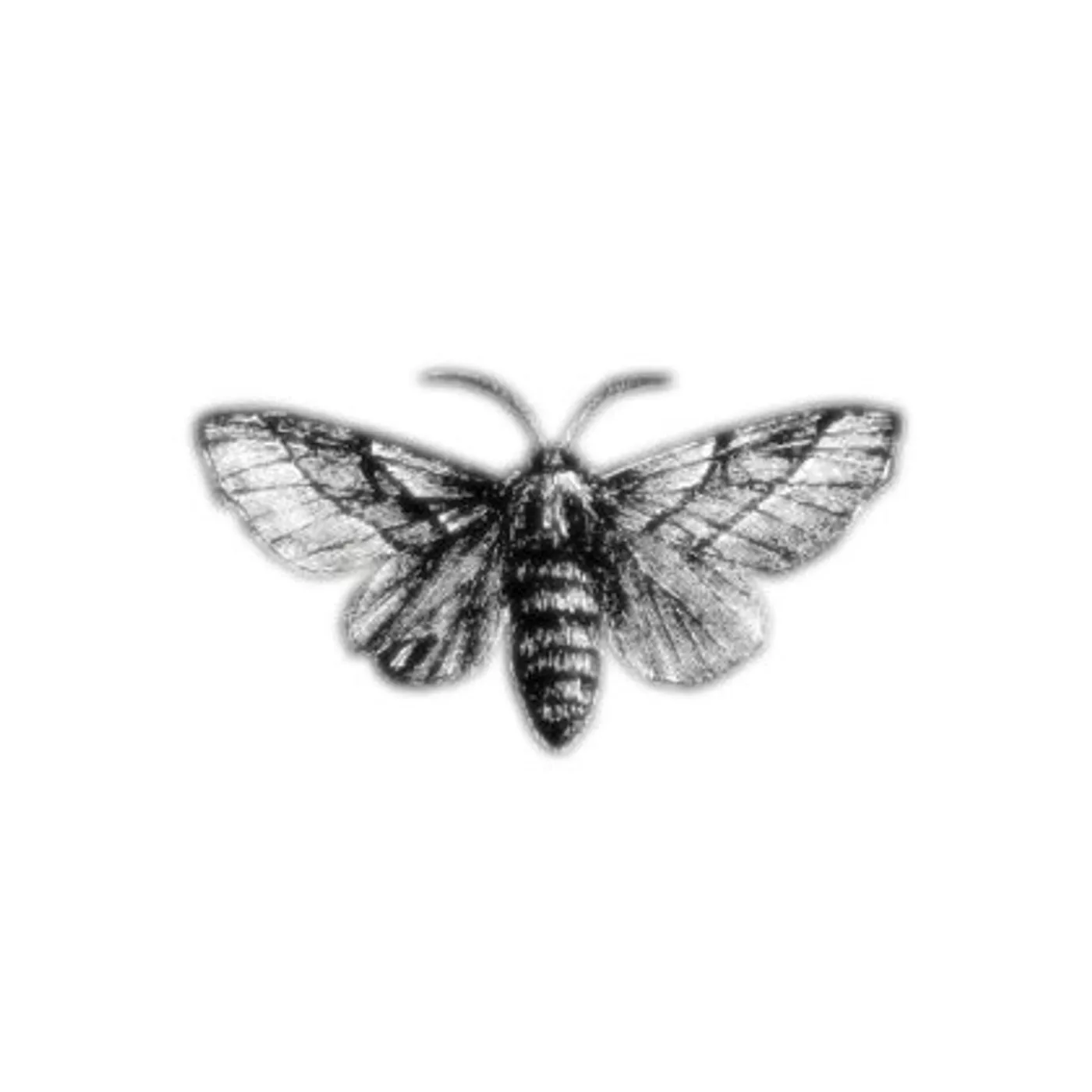 Hello Moth INFINITELY REPEATED CD