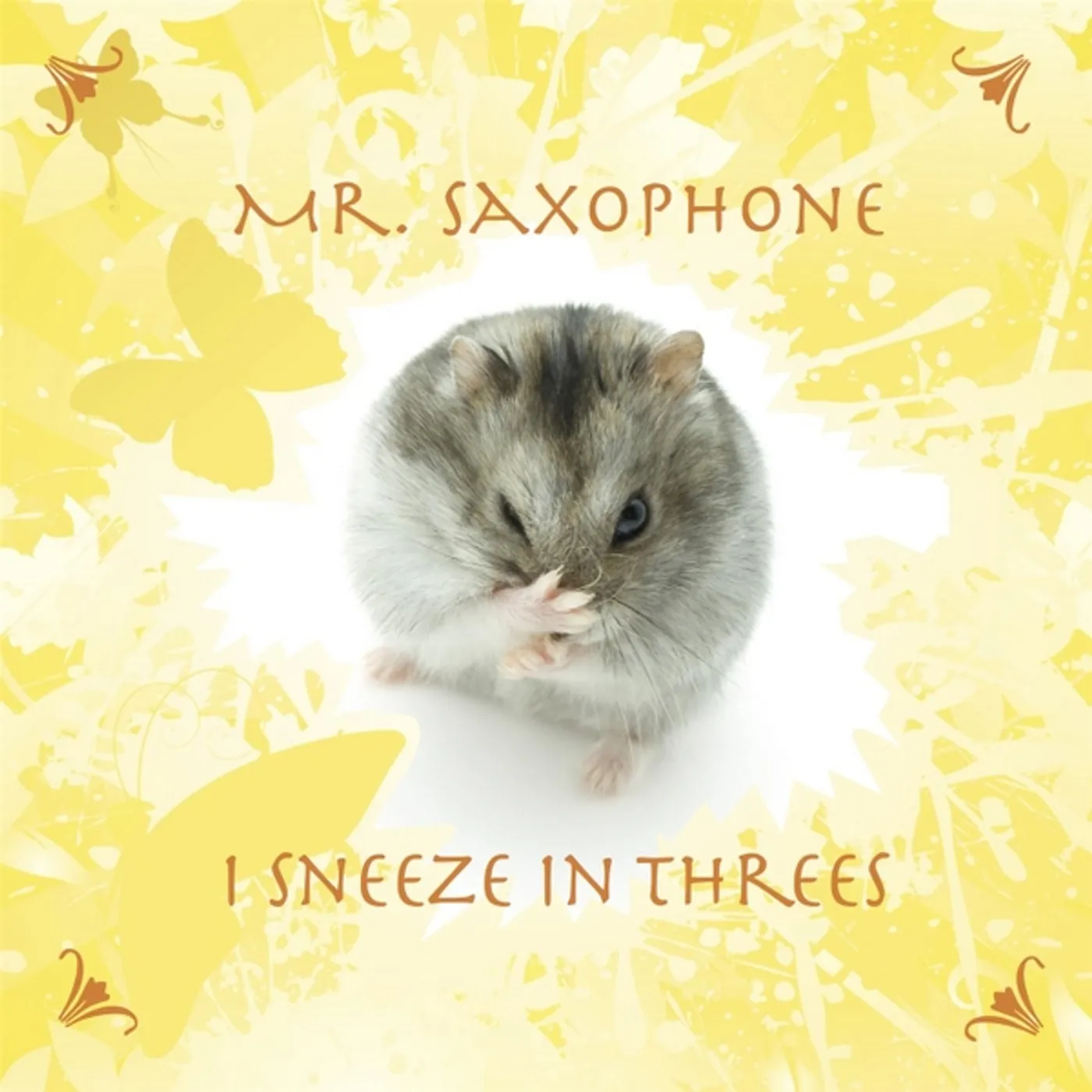 Mr. Saxophone I SNEEZE IN THREES CD