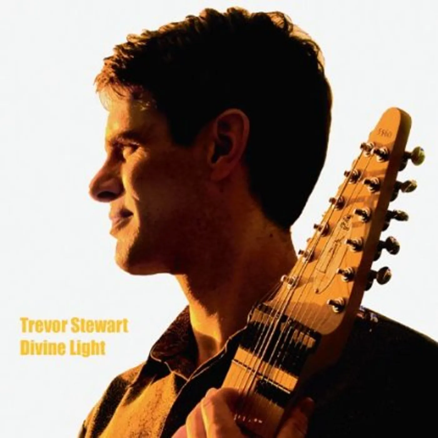 Trevor Stewart DIVINE LIGHT CD