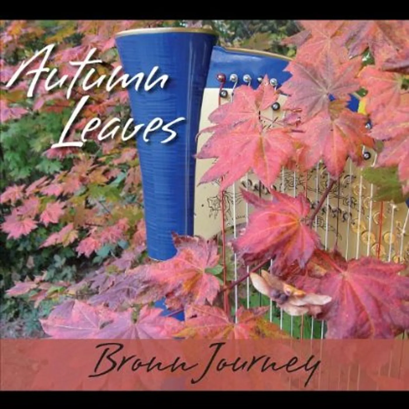 Bronn Journey MORNING HAS BROKEN CD