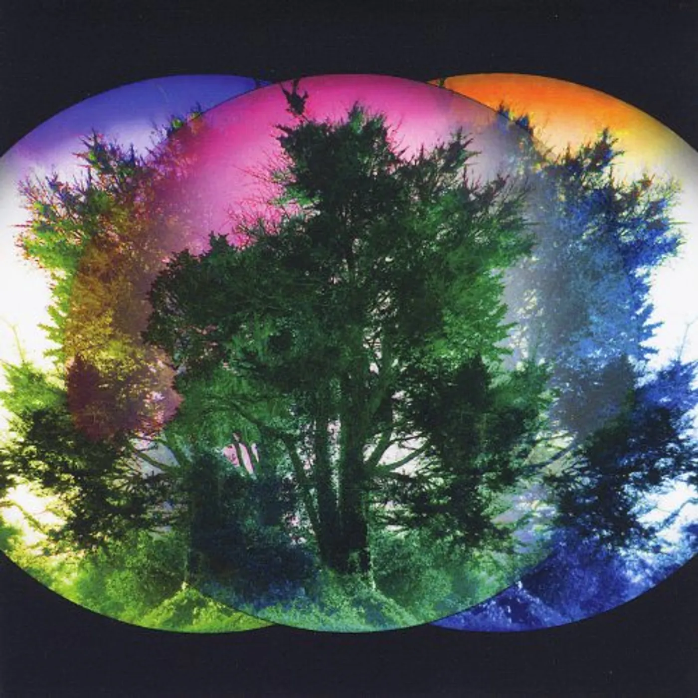 Electric Shepherd IMITATION GARDEN CD