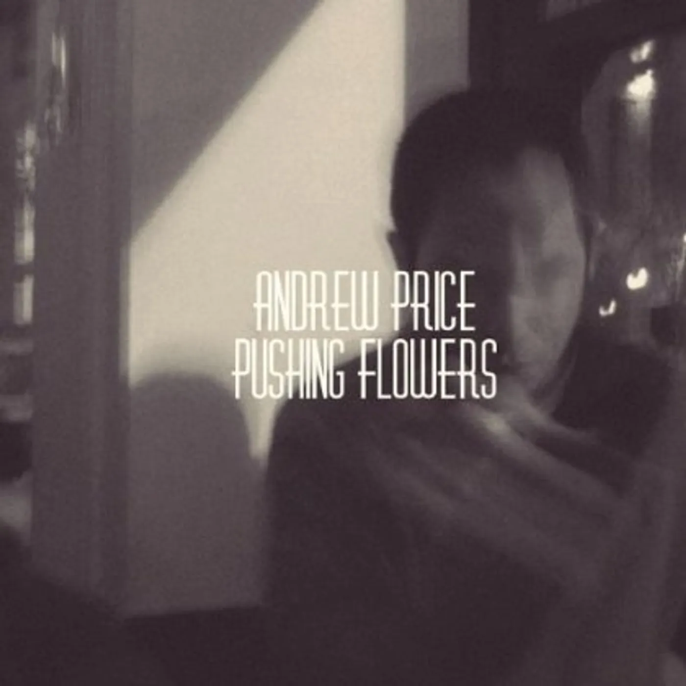 Andrew Price PUSHING FLOWERS CD