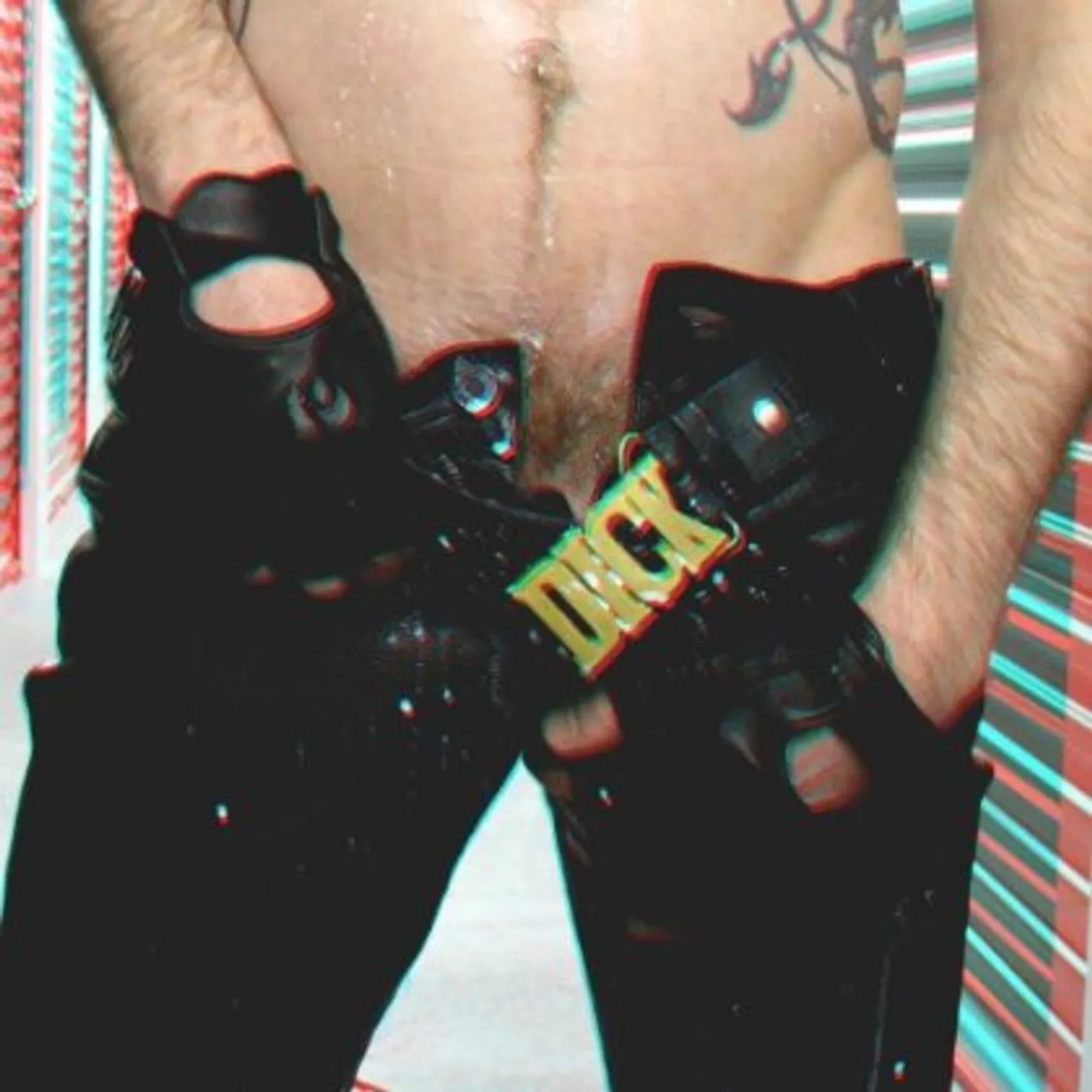 Ponyboy DICK DICK DICK CD